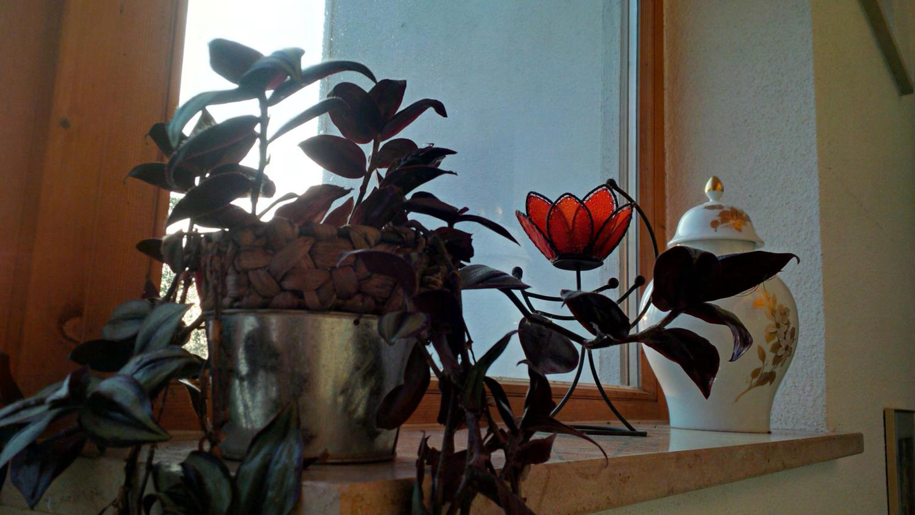 Photo 32