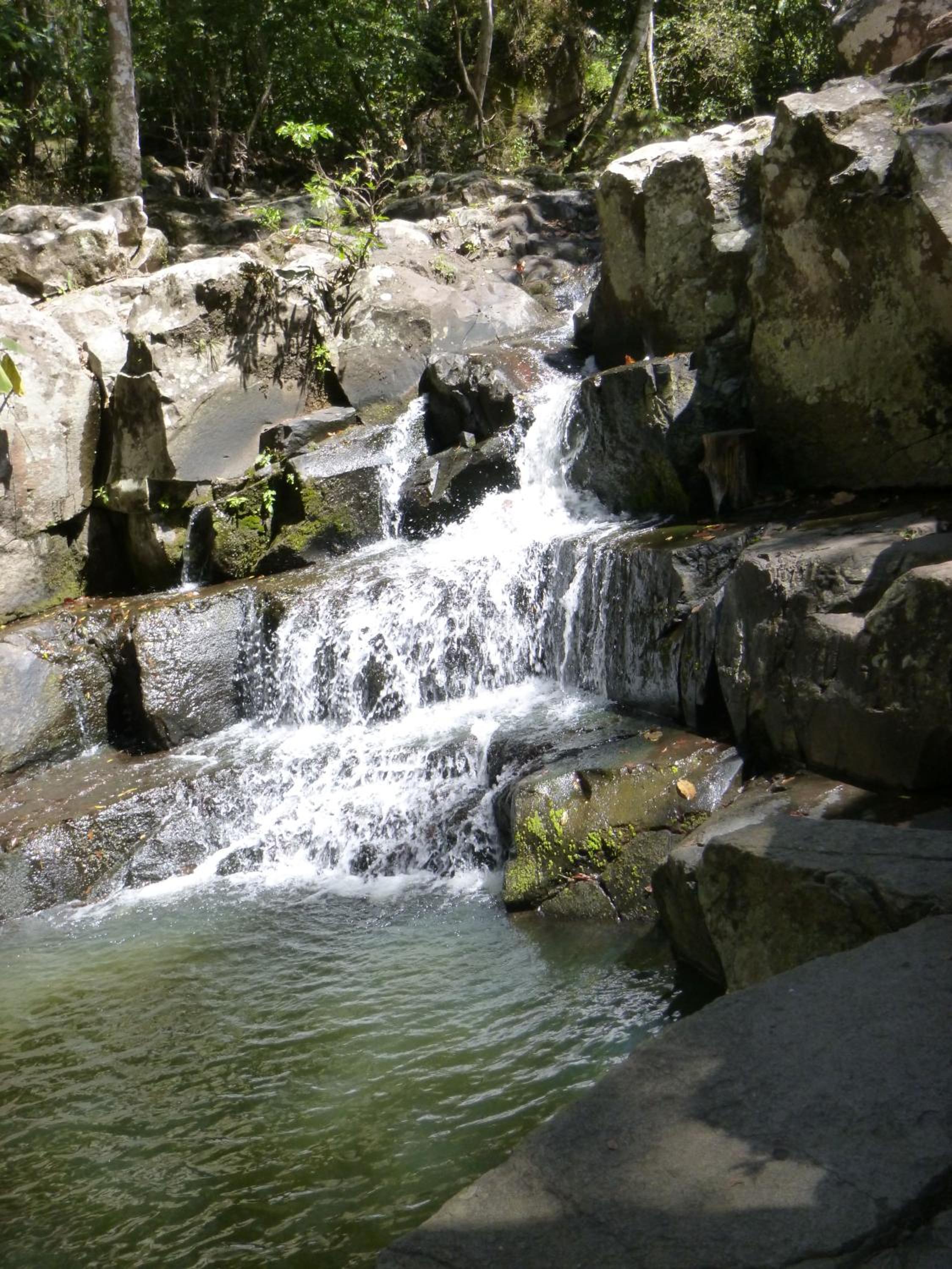 Photo 11