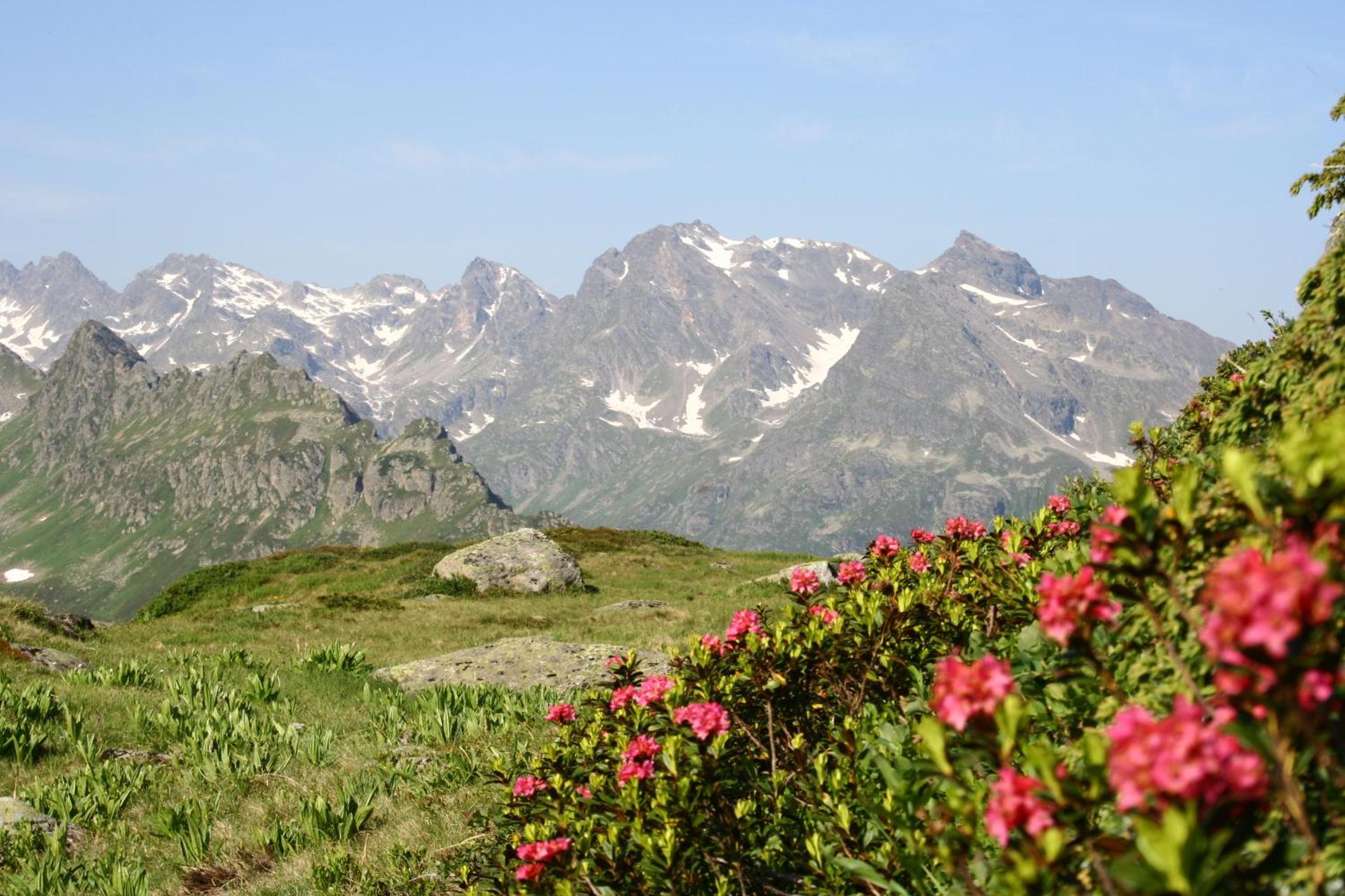 Apart Garni Sonne