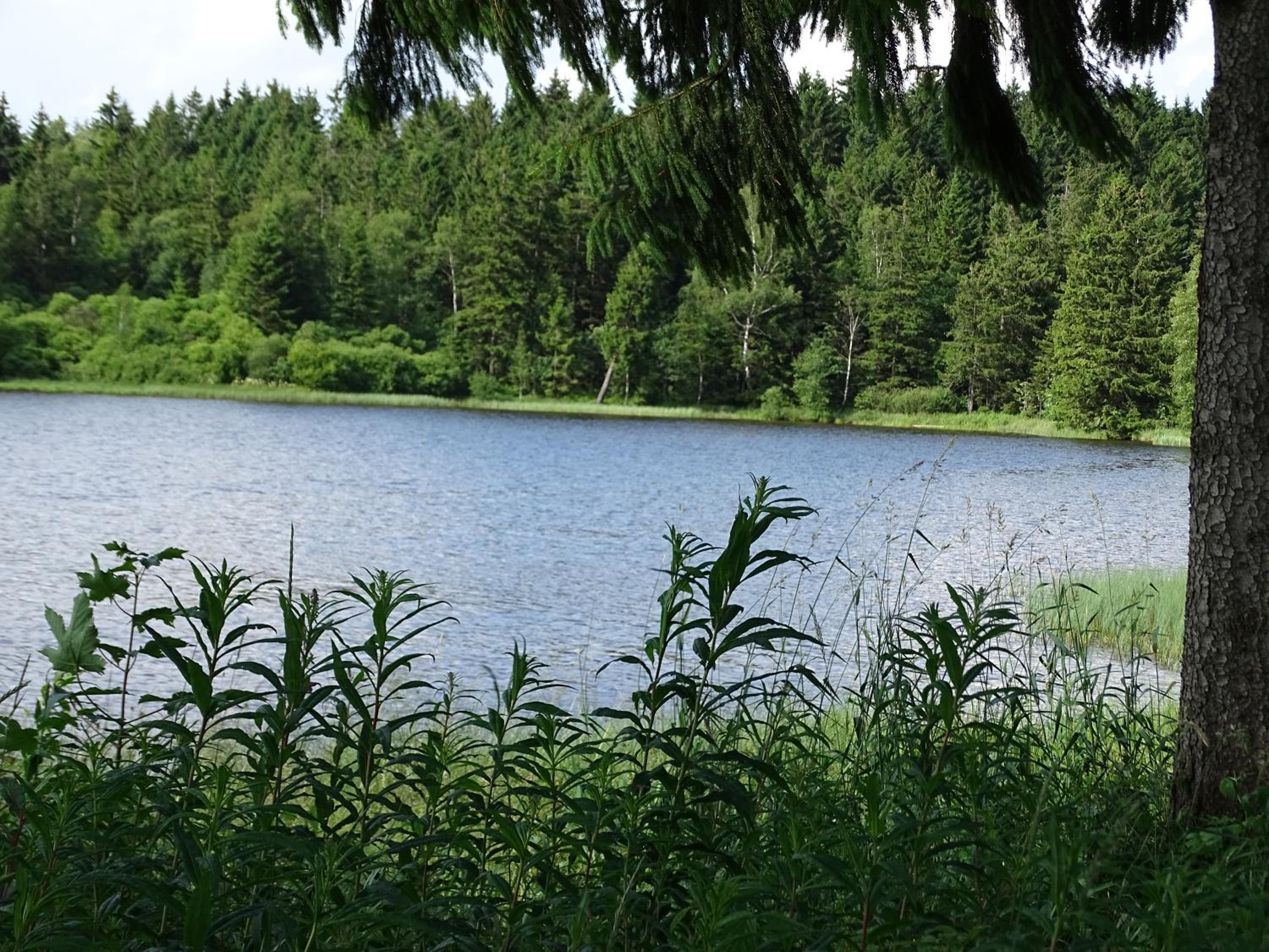 Hüttenflair am See mit Kamin