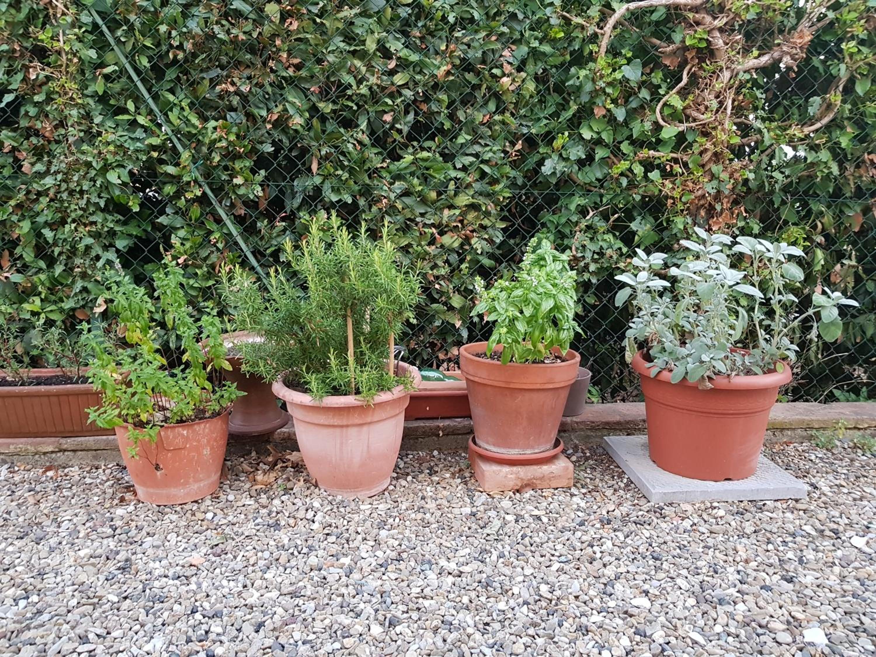 Agriturismo Podere Casalone