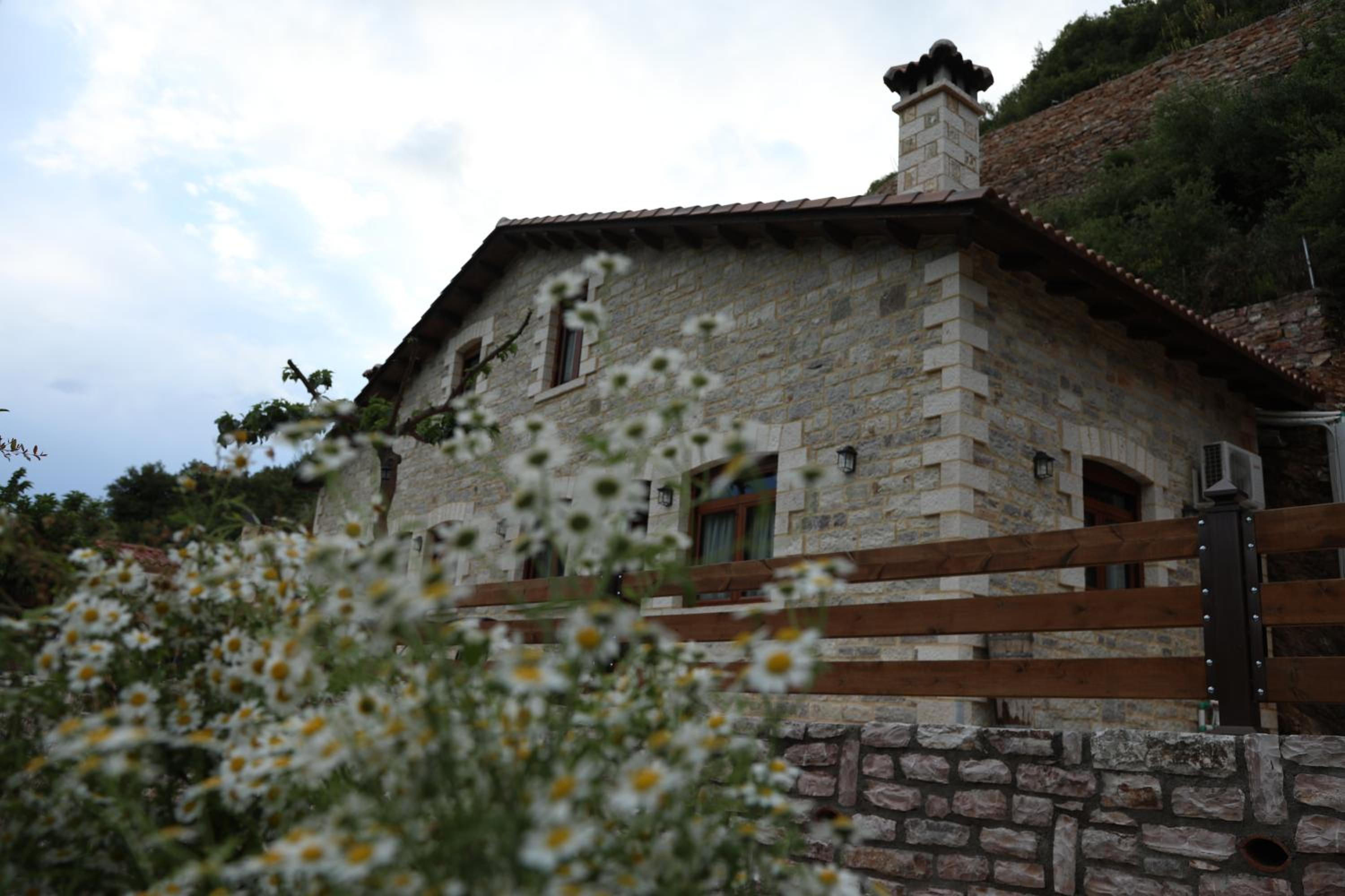 Photo 29