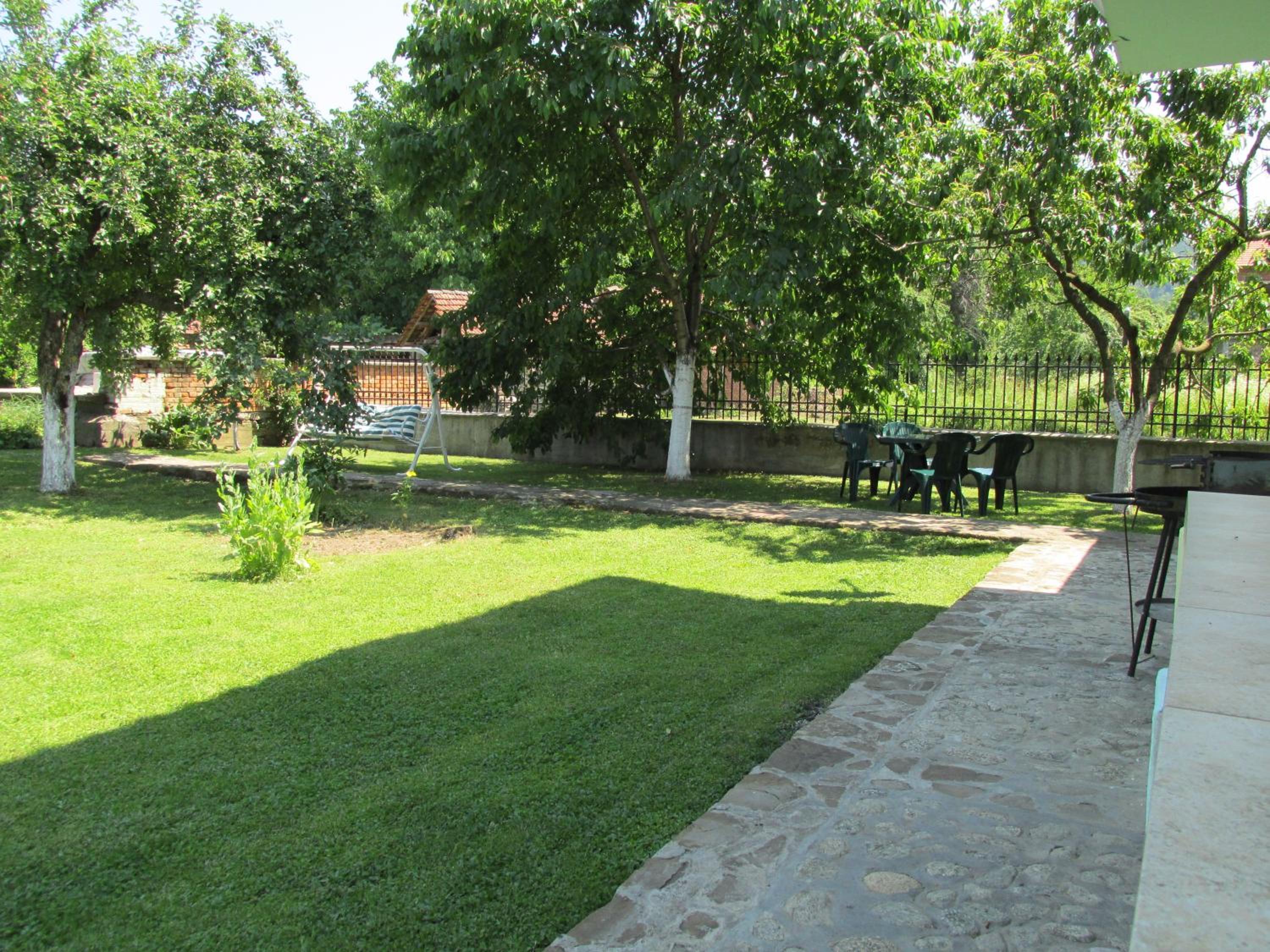 Photo 11