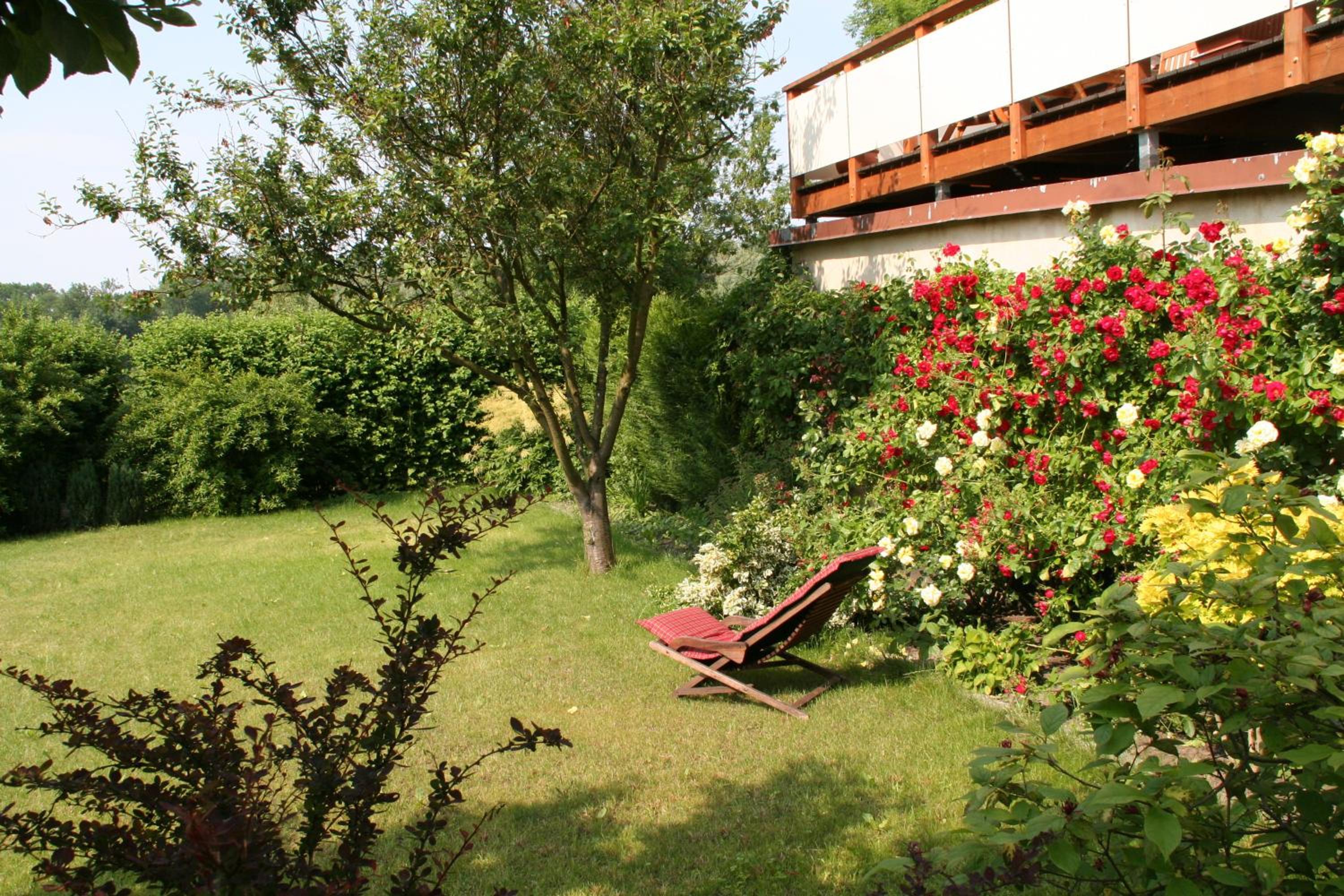 Photo 30