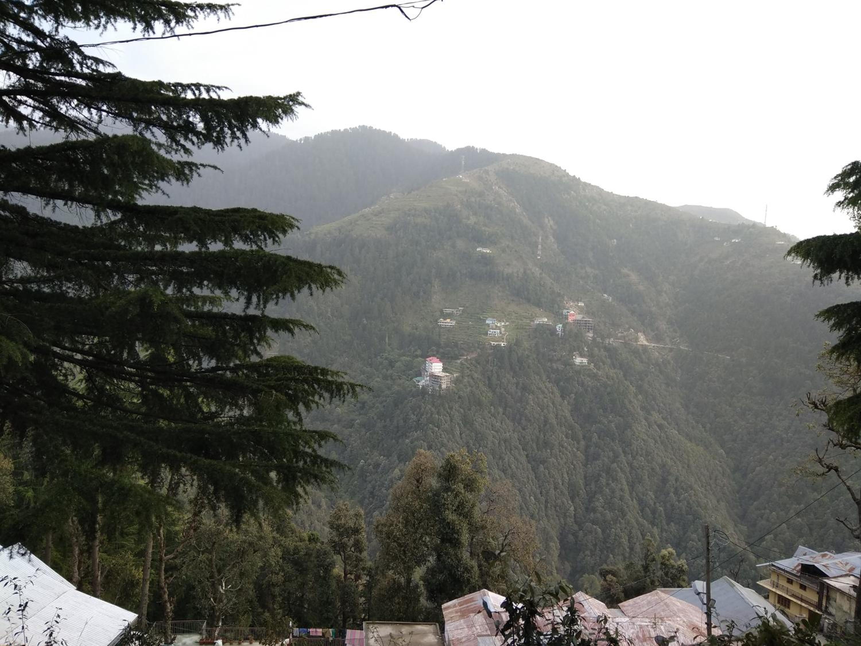 Peaceful Dalhousie
