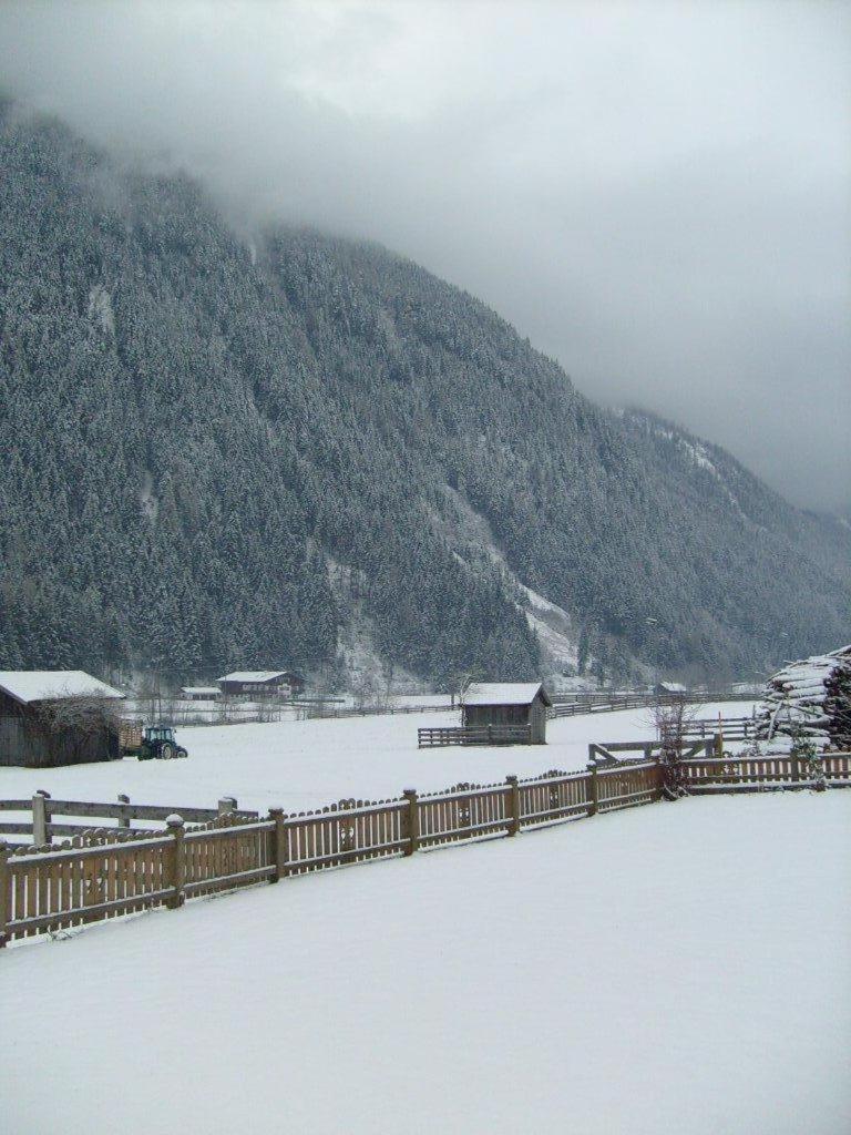 Photo 44