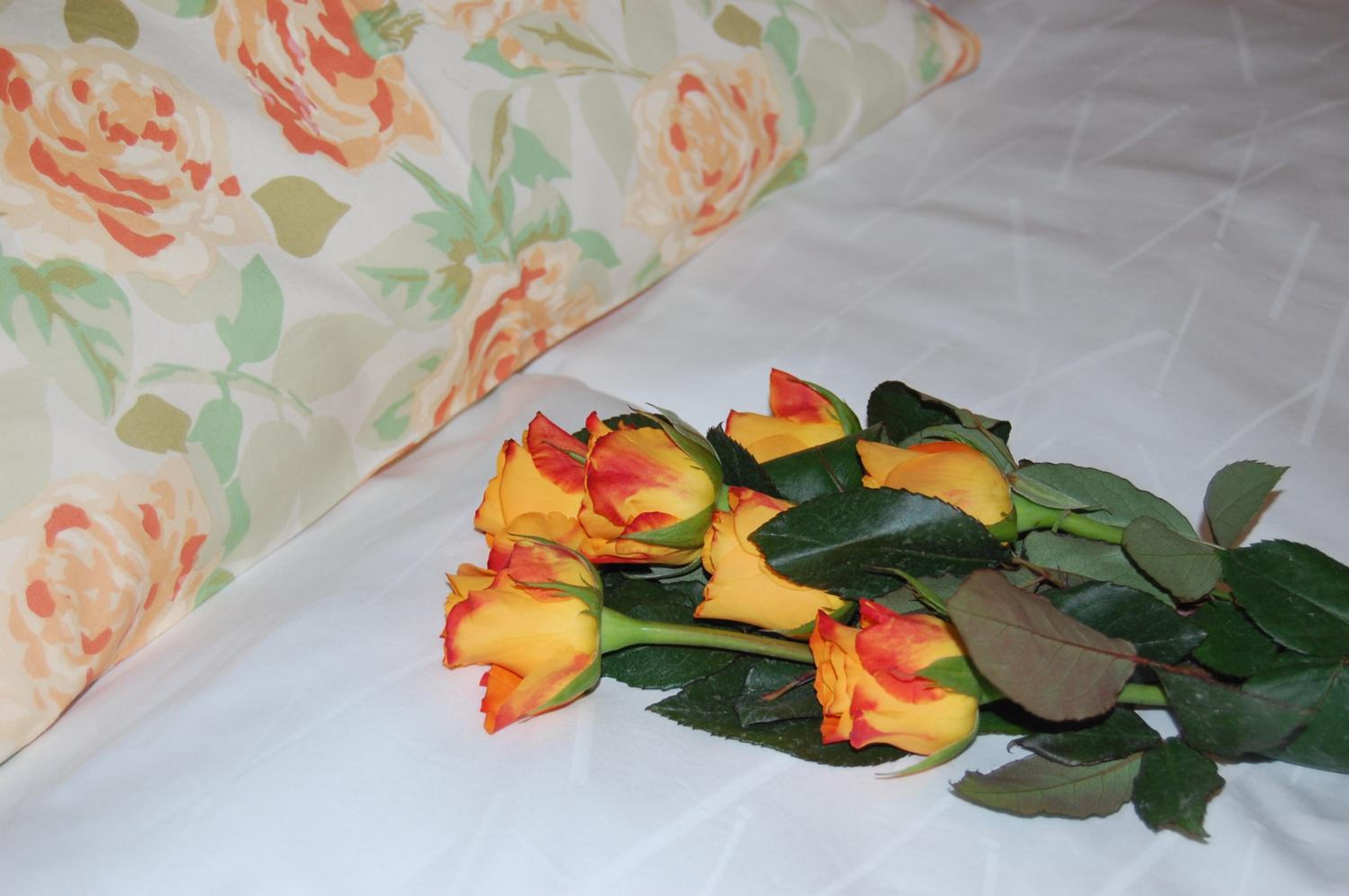 Photo 39