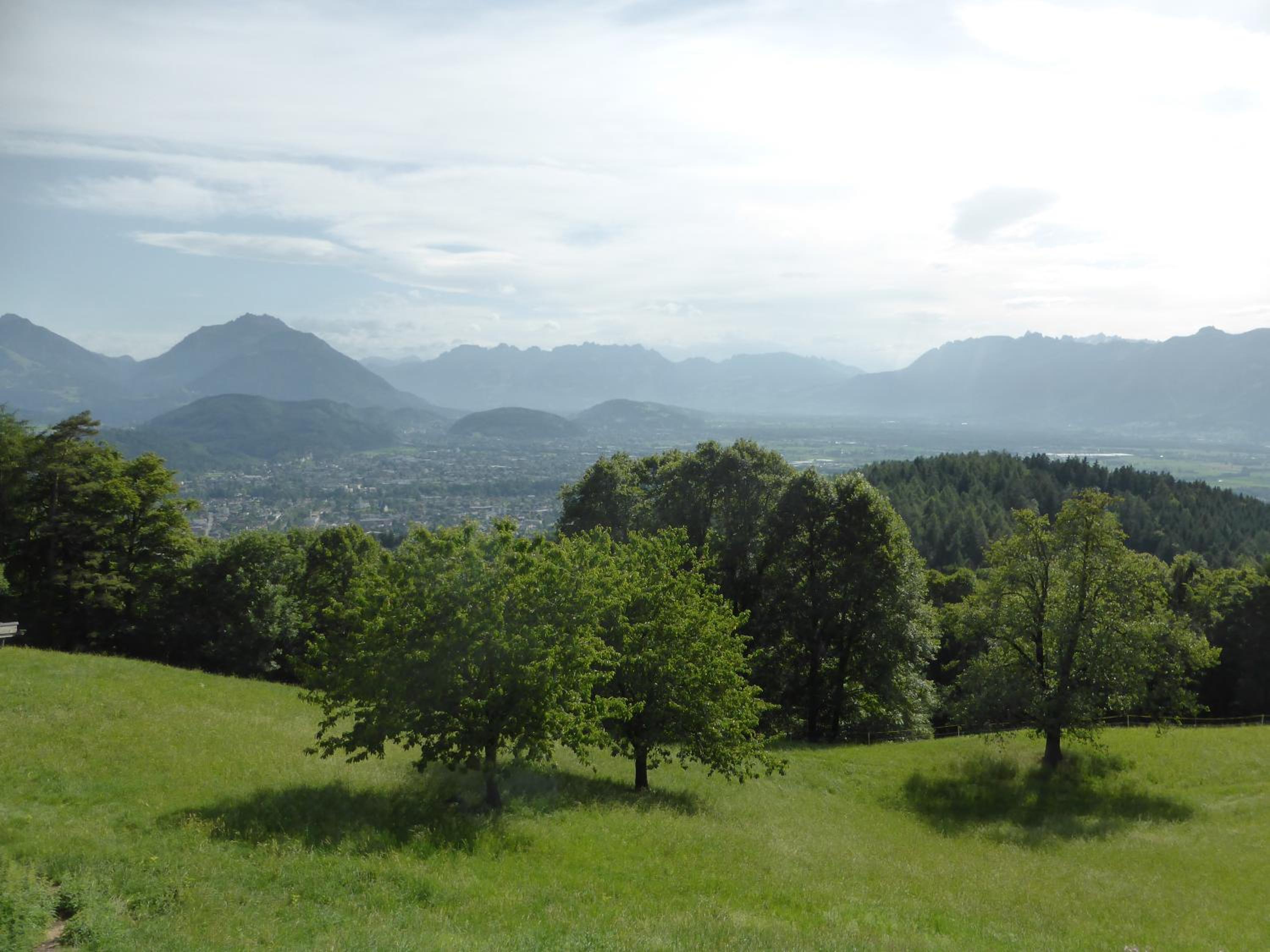 Photo 25