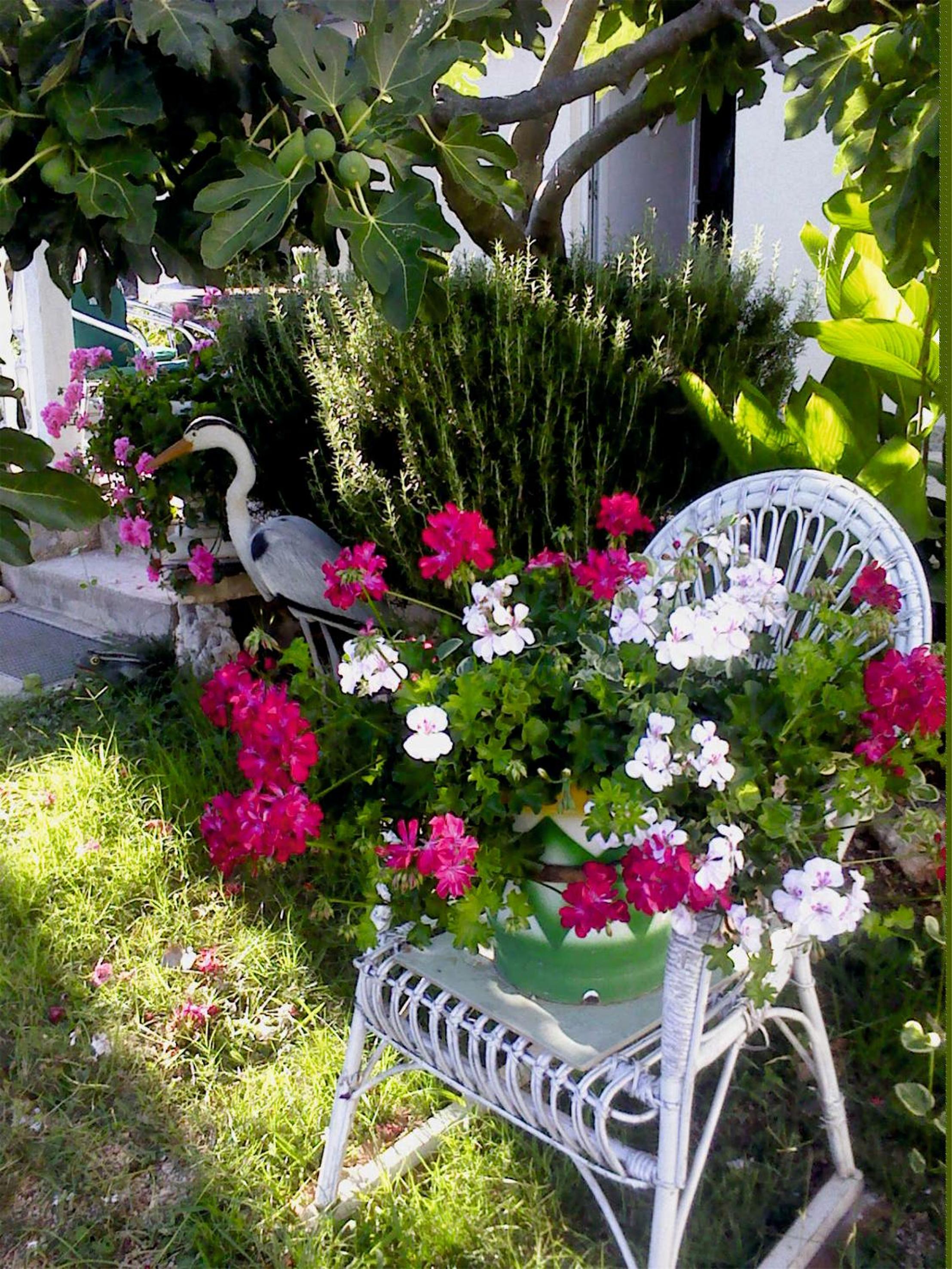 Photo 32