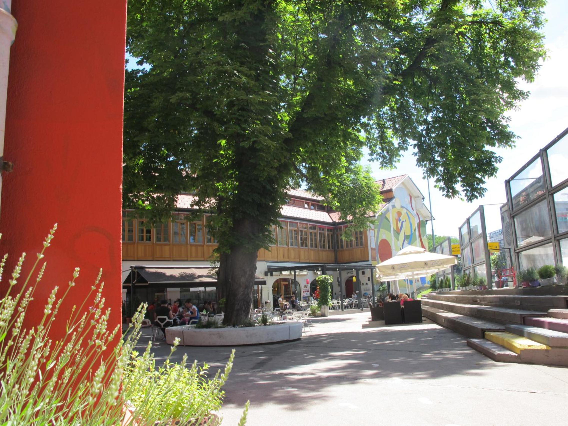 Photo 6