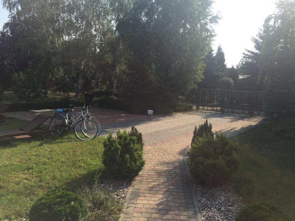 Photo 6
