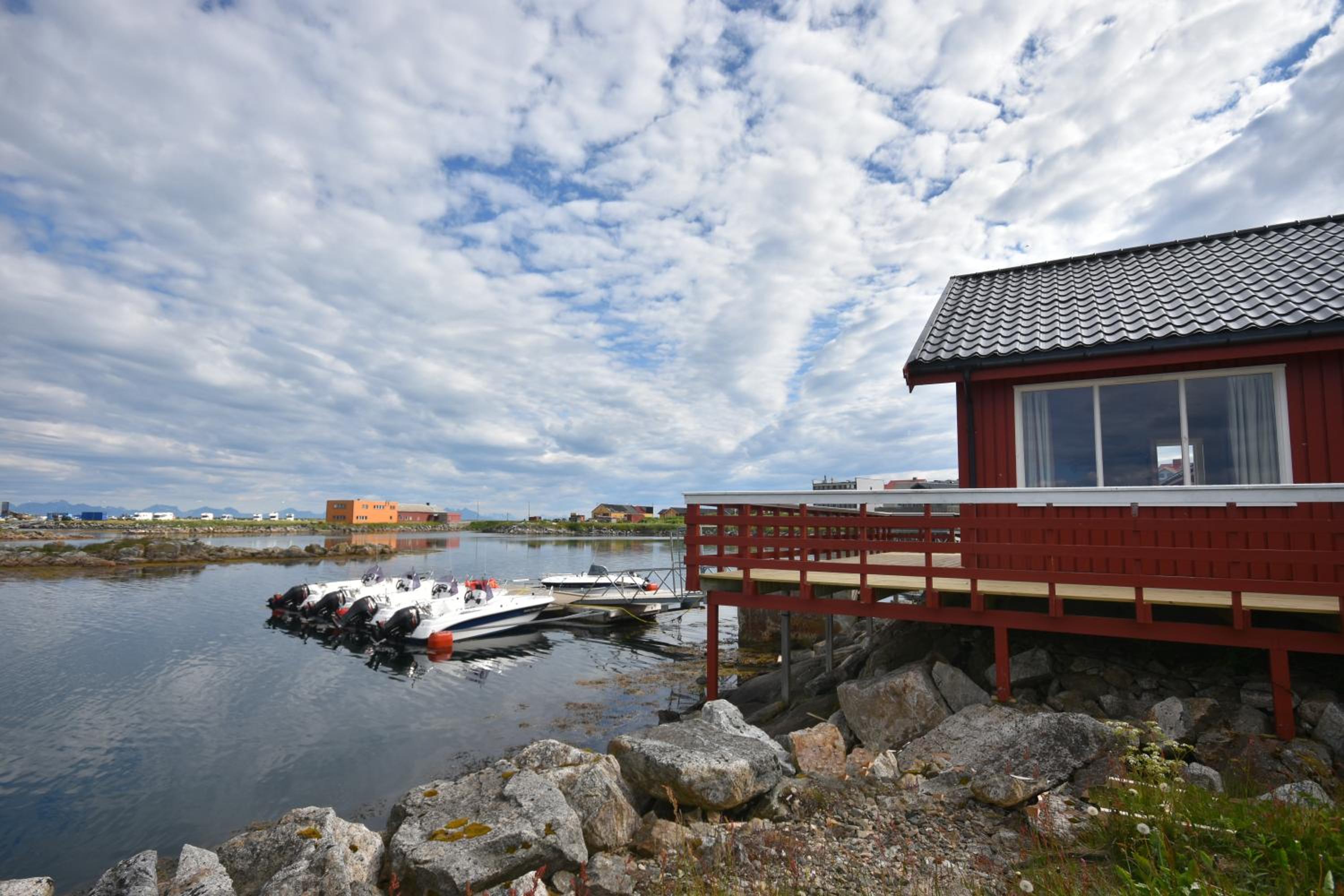 Photo 8