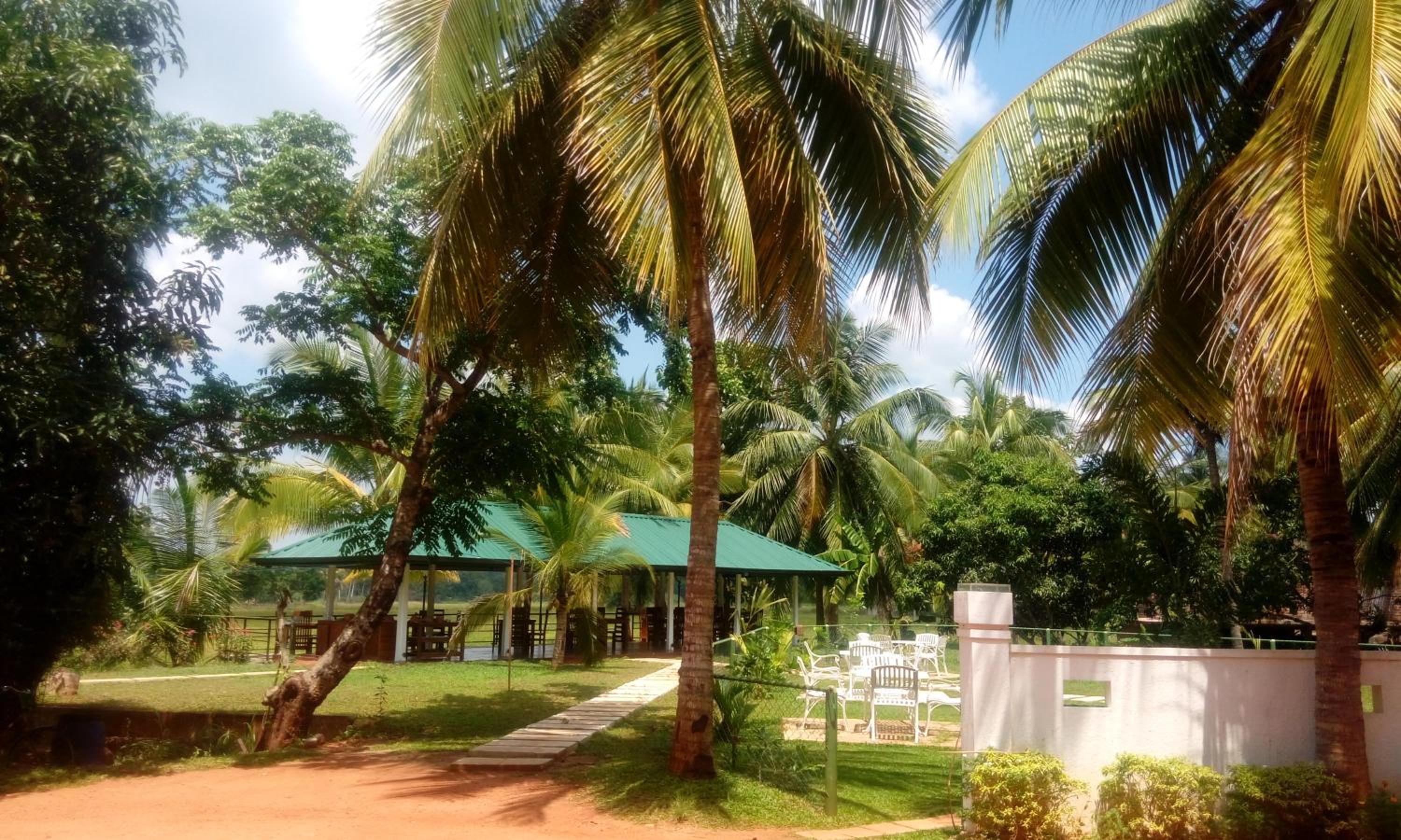 Rajarata Family Resort
