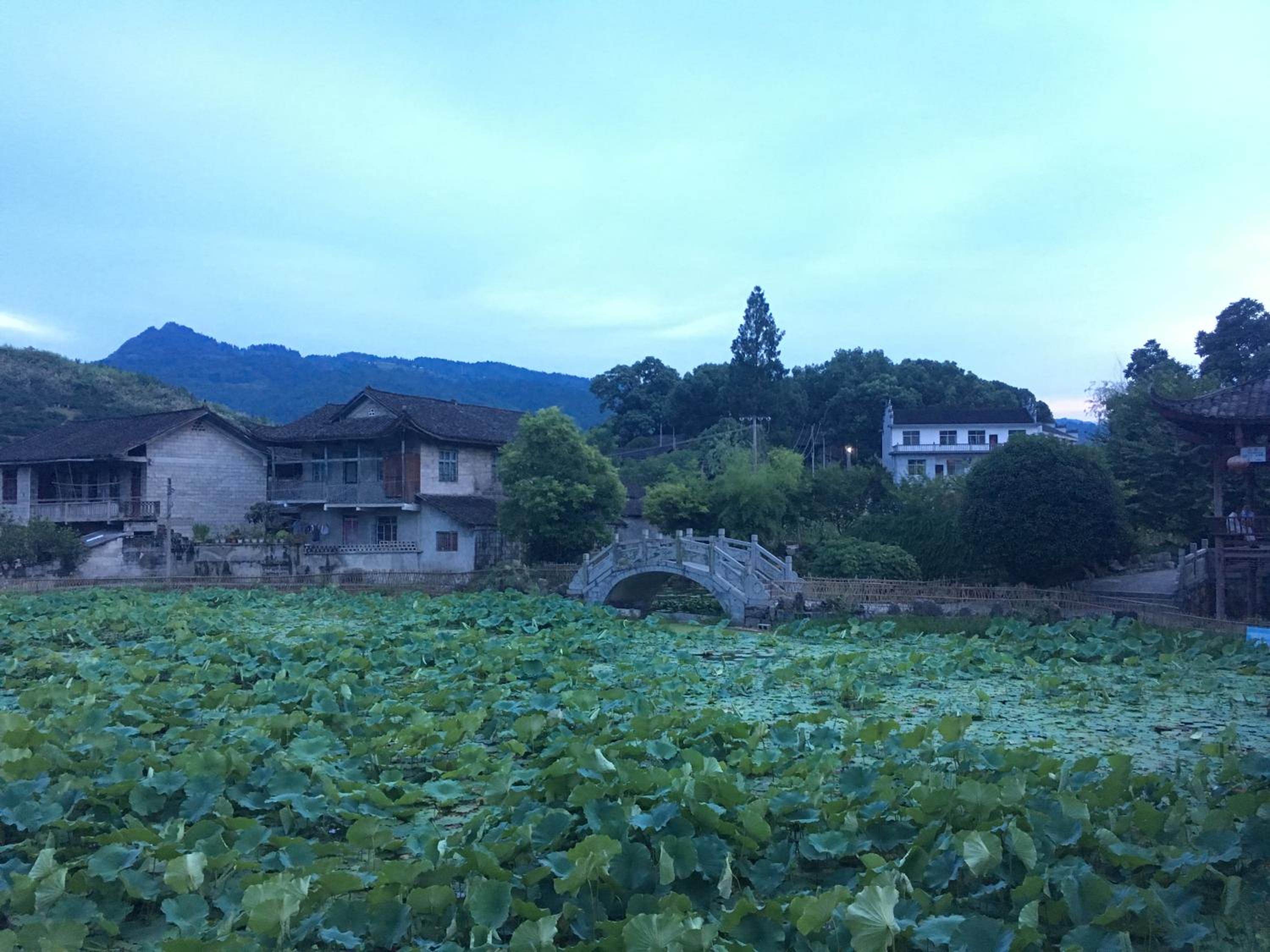 372 Jingjing Home