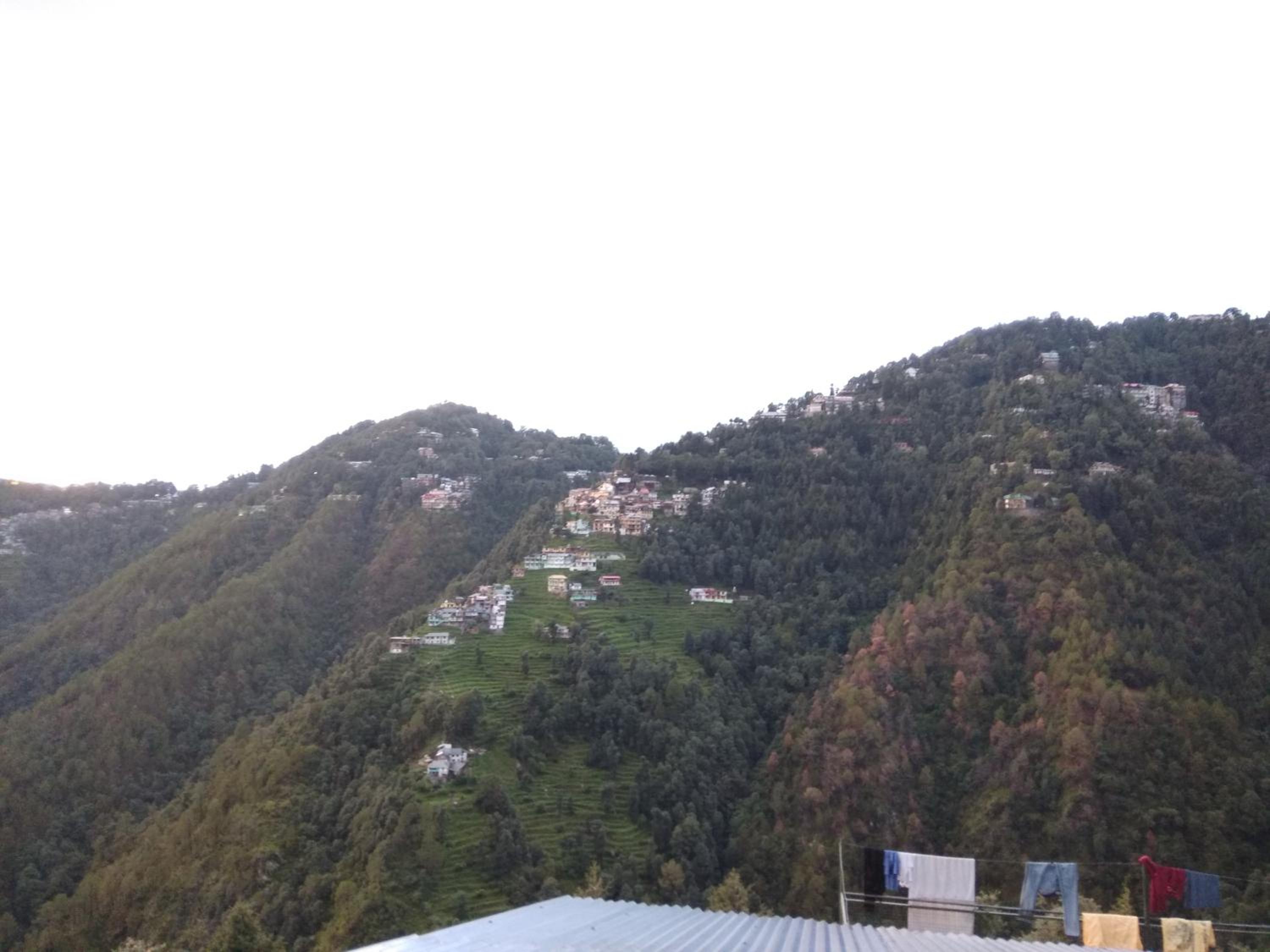 Peaceful Dalhousie