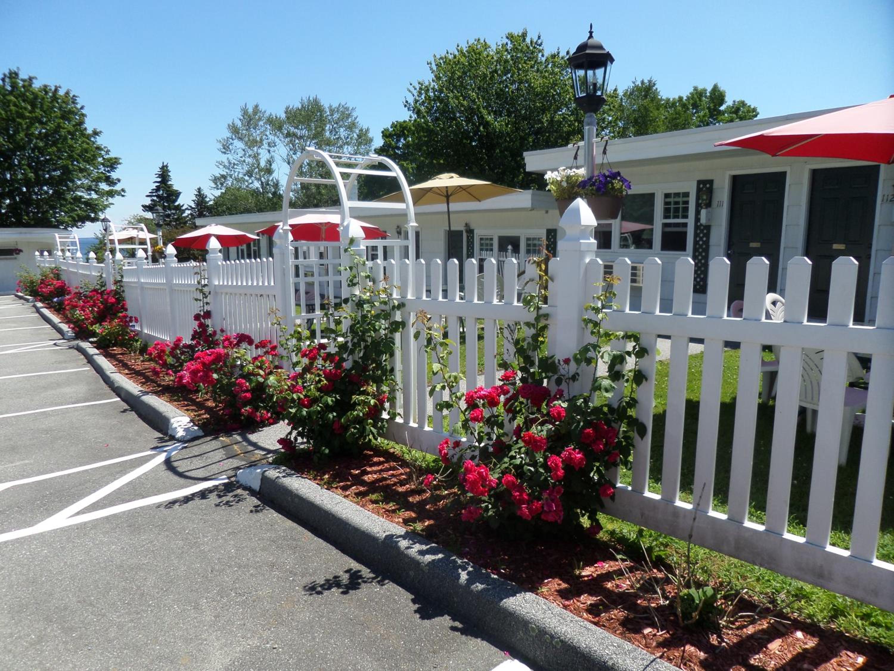 Claddagh Motel & Suites