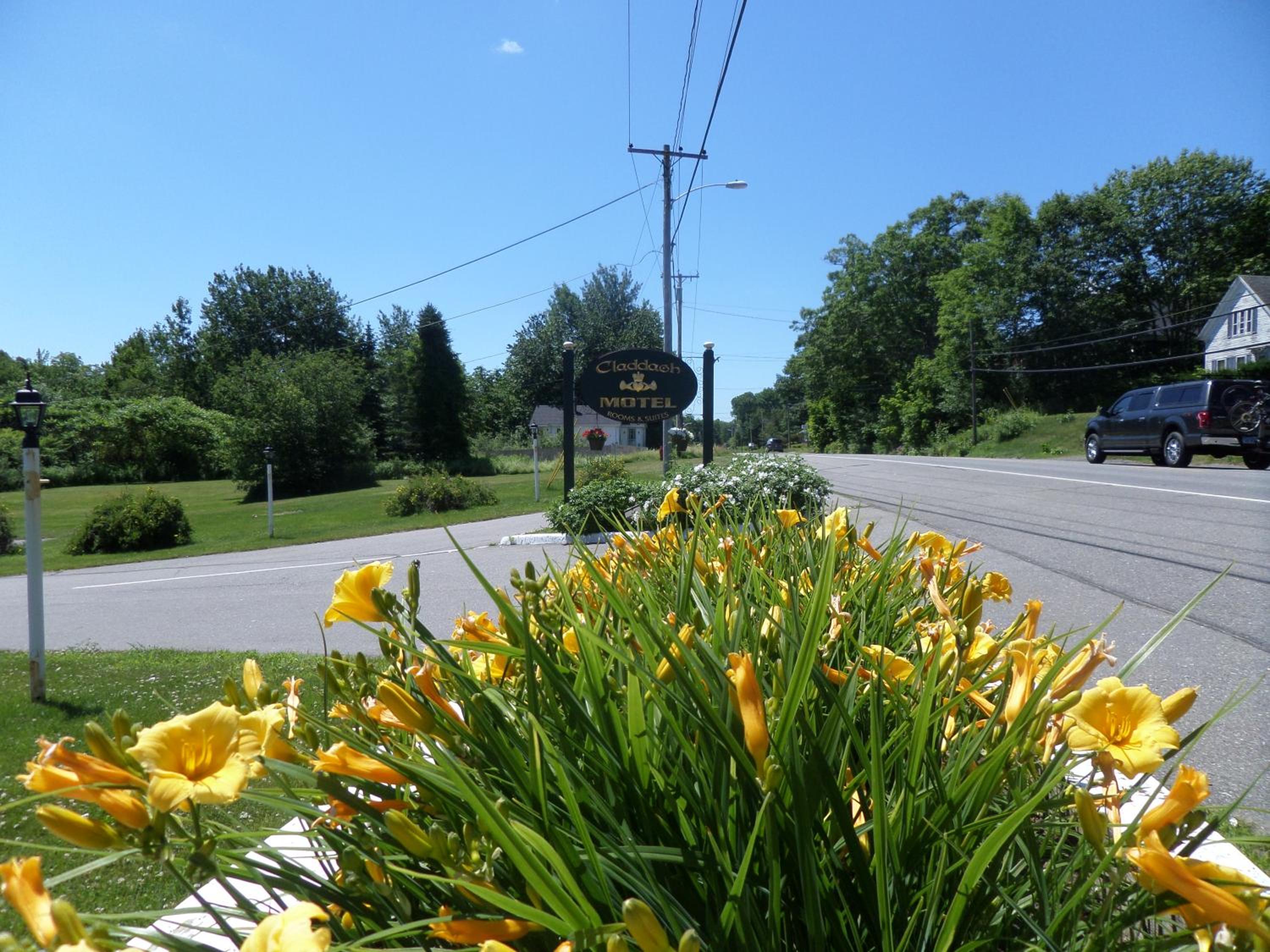 Claddagh Motel & Suites