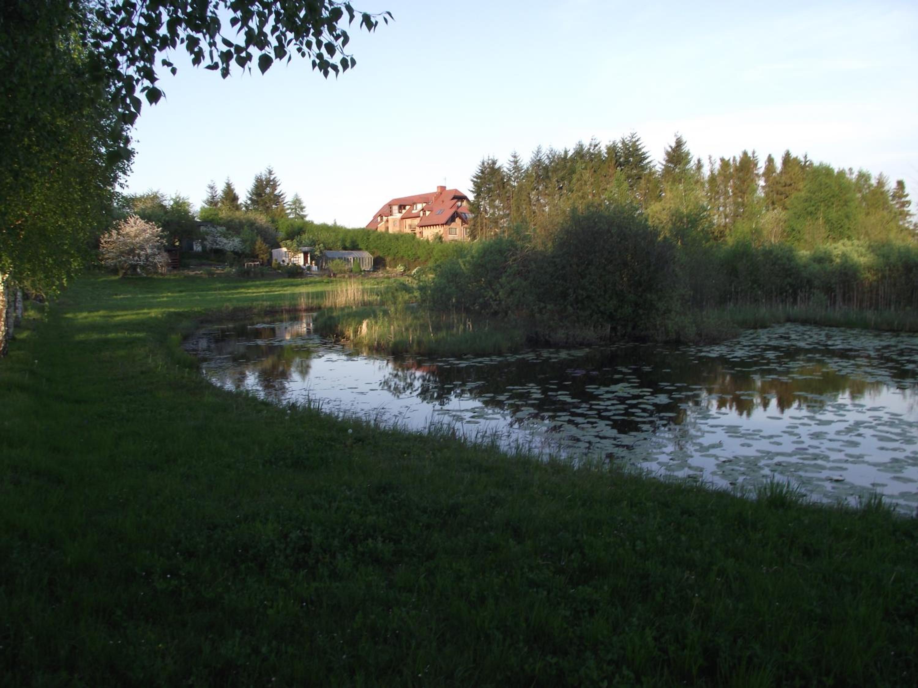 Photo 53