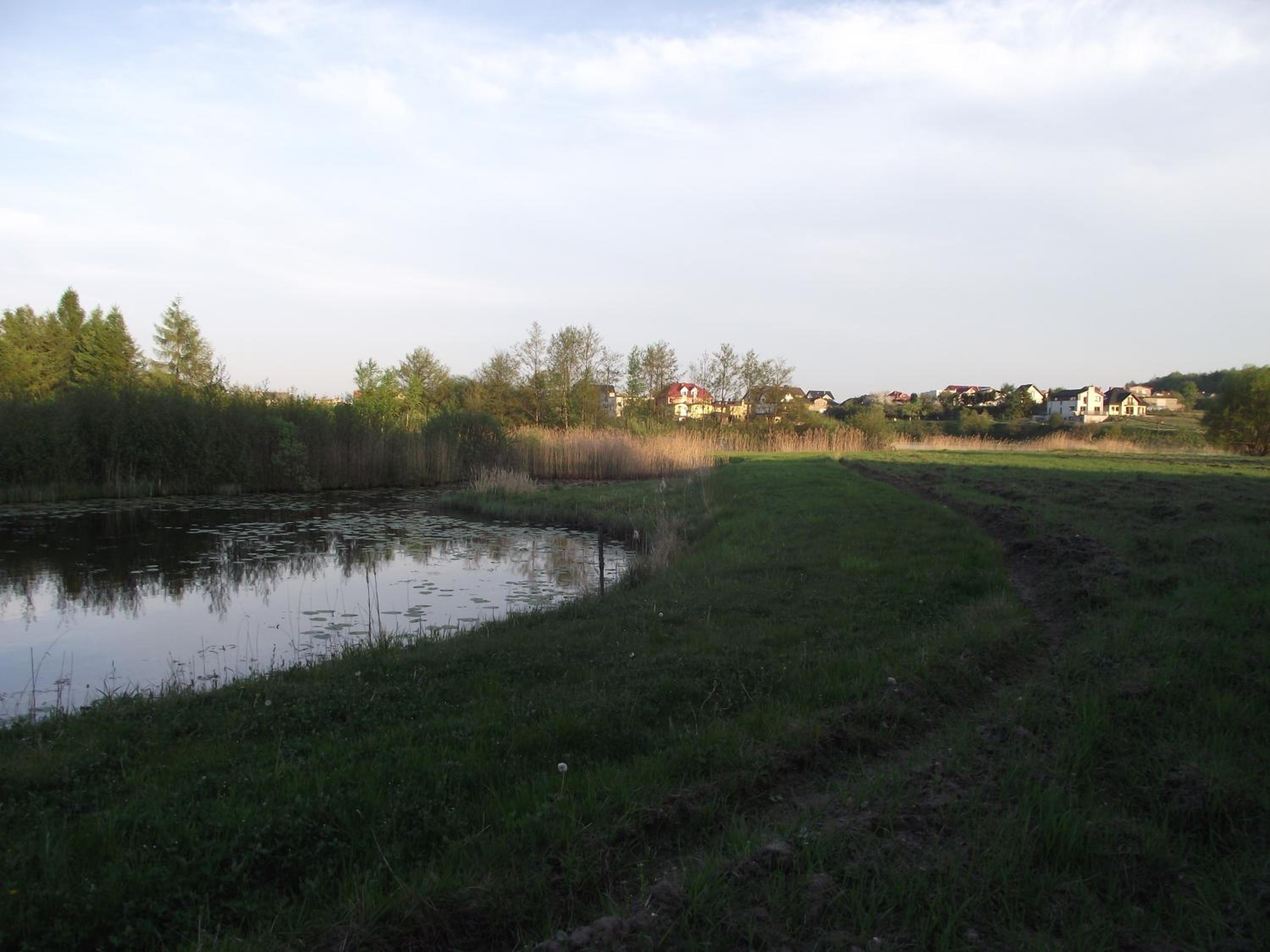 Photo 51