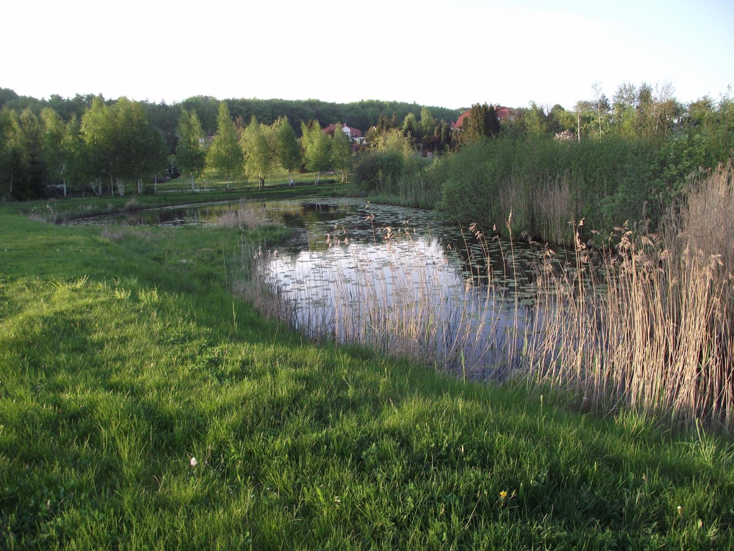 Photo 52