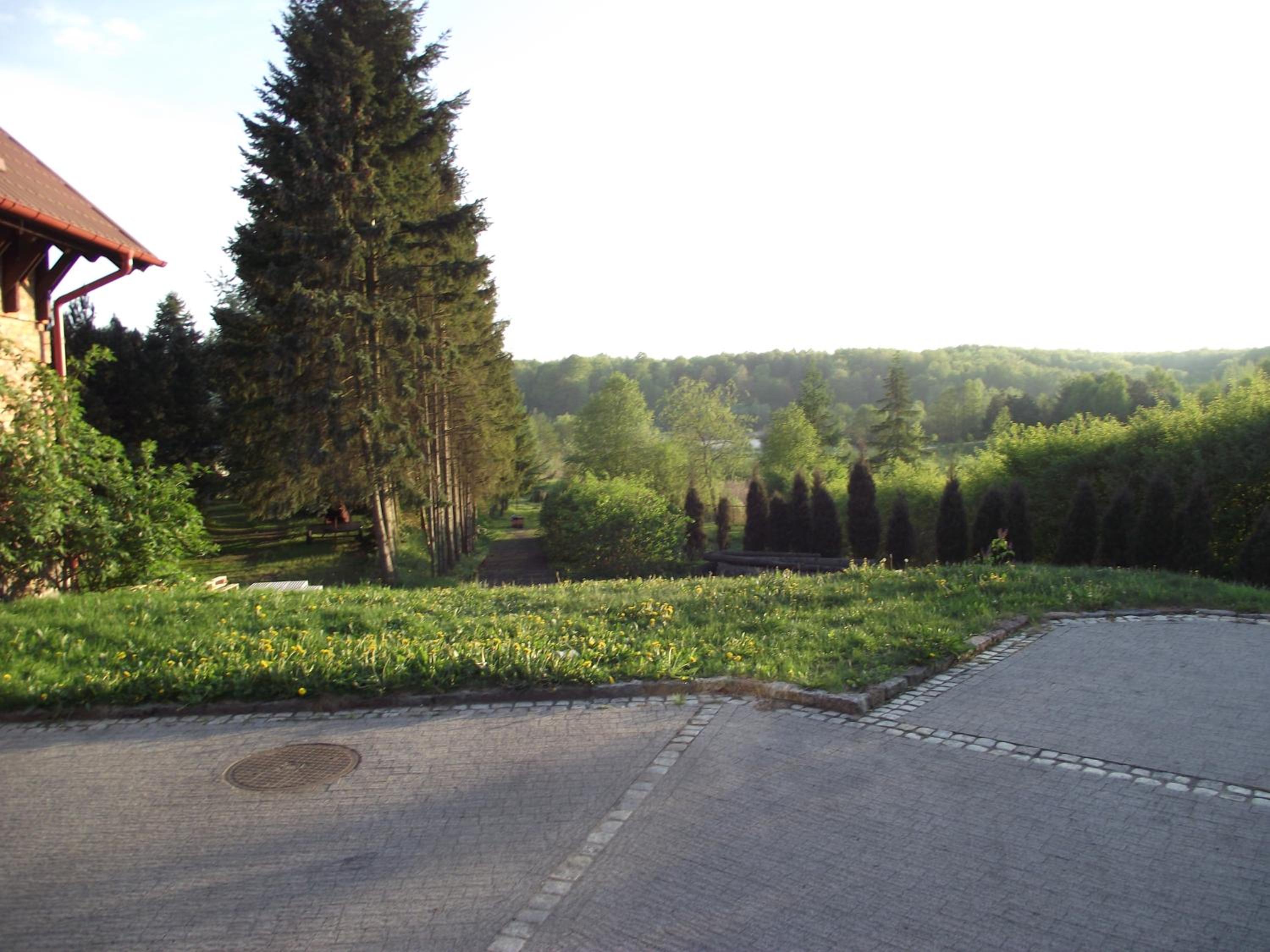Photo 45