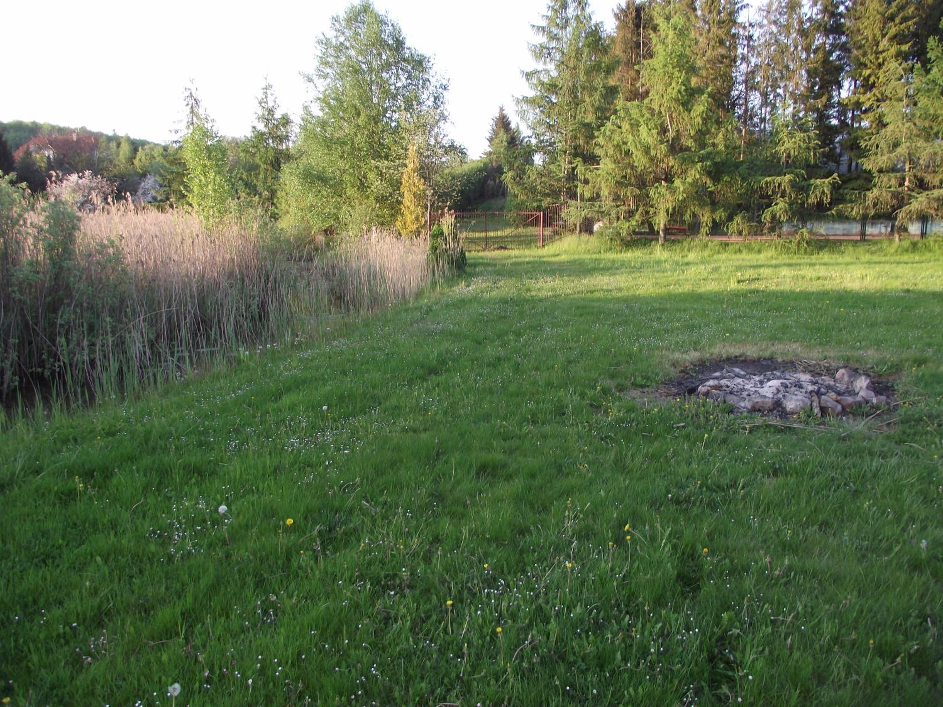Photo 49