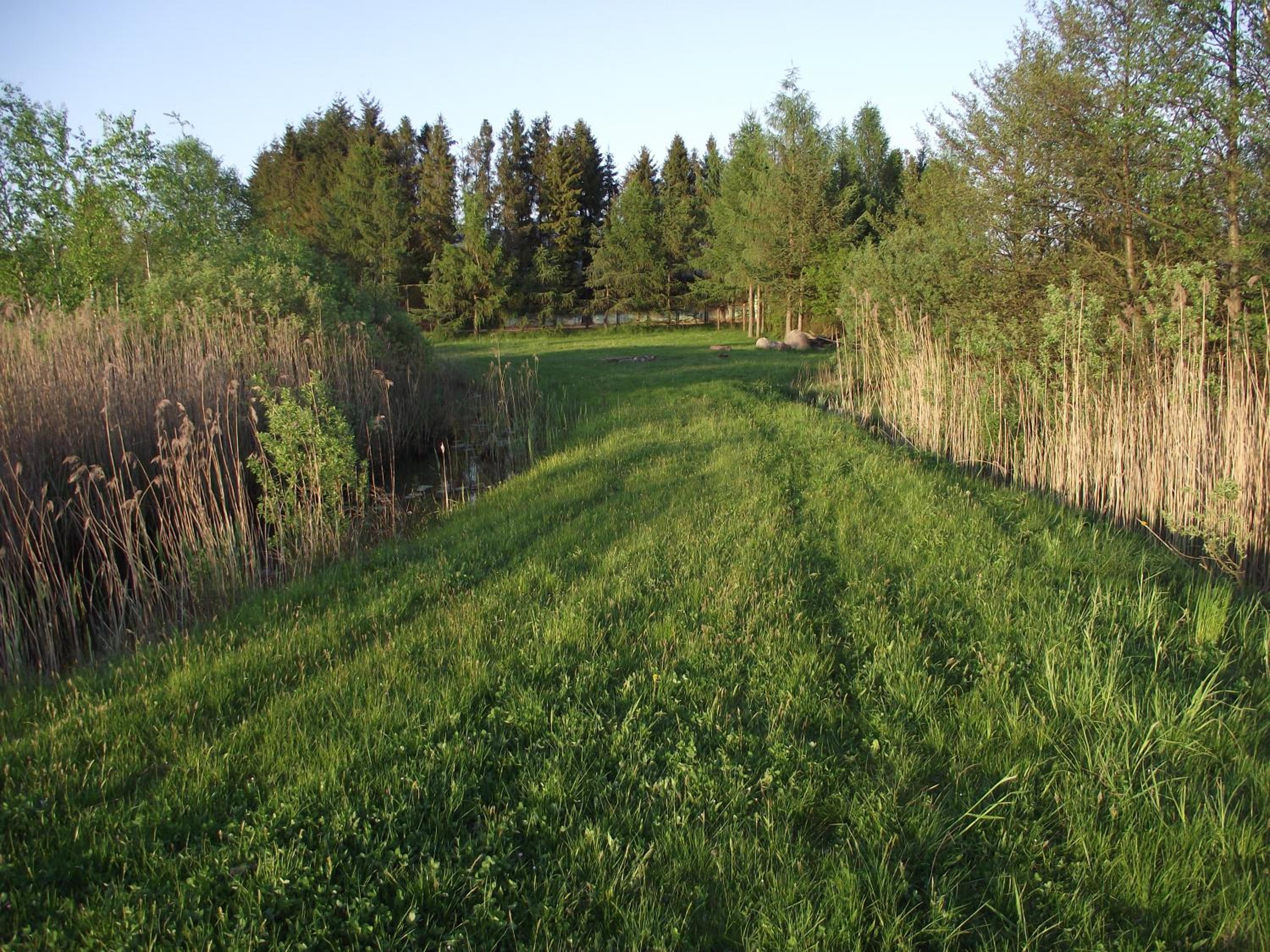 Photo 48