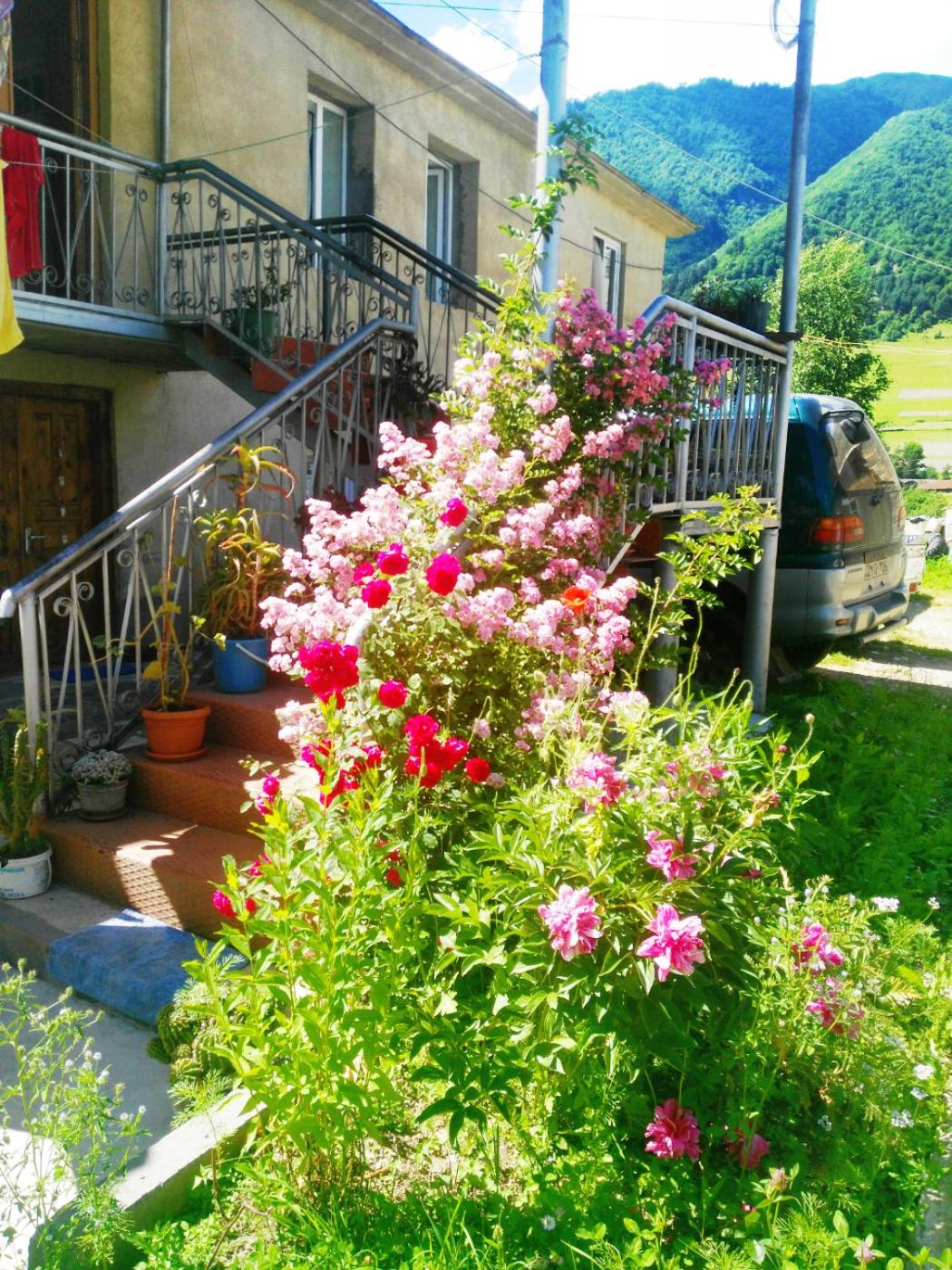 Guesthouse am Museum