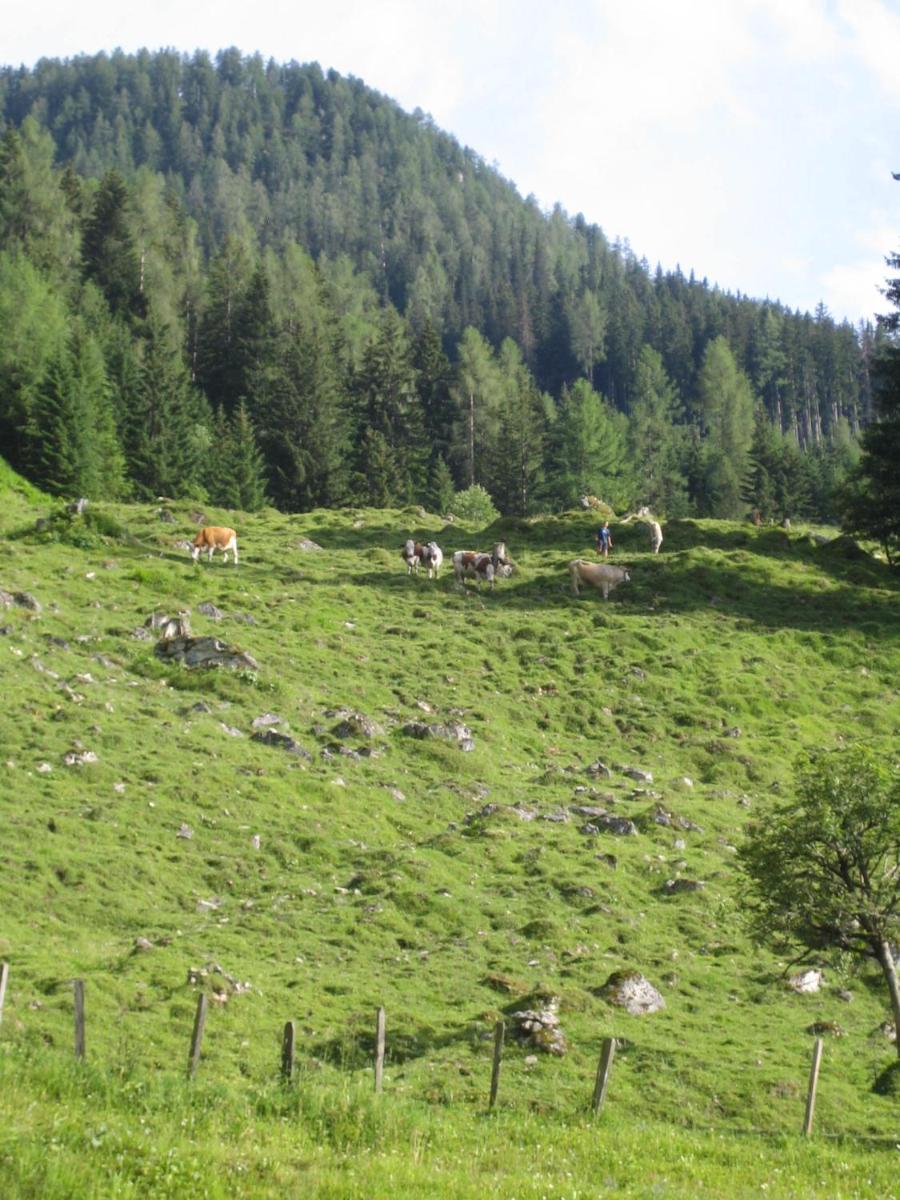Pension Hedegghof