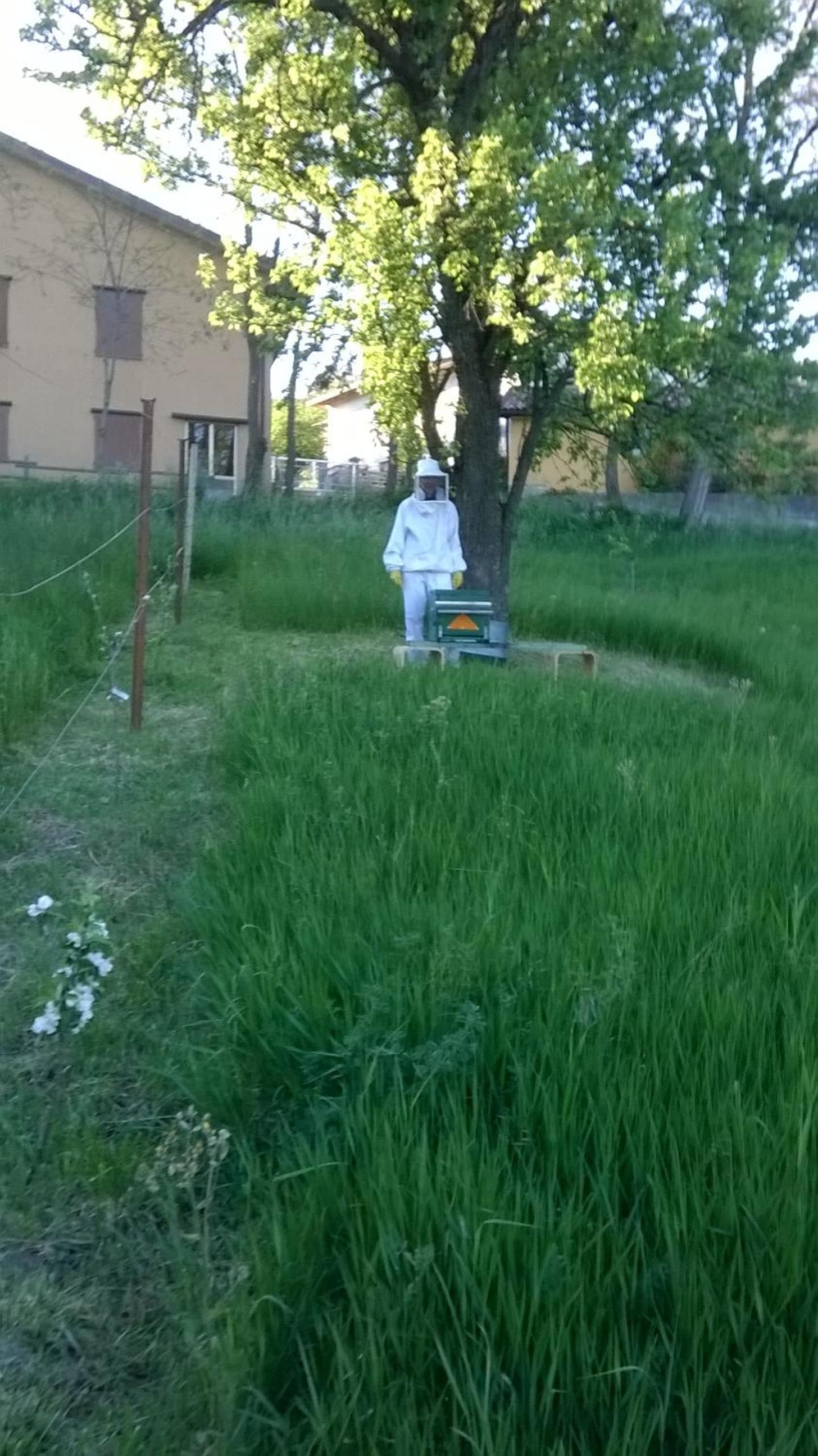 Photo 18