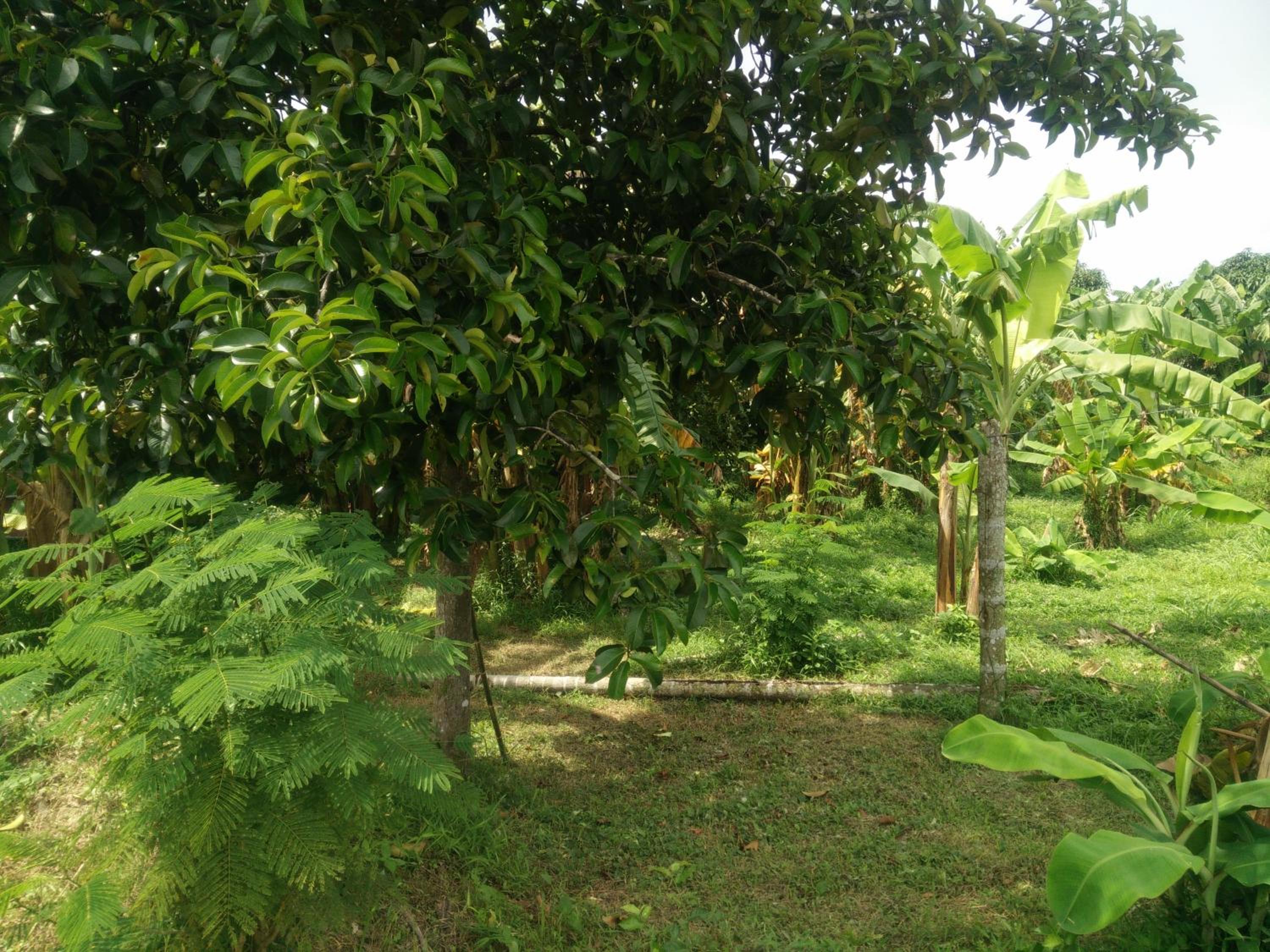 Deva Garden Resort