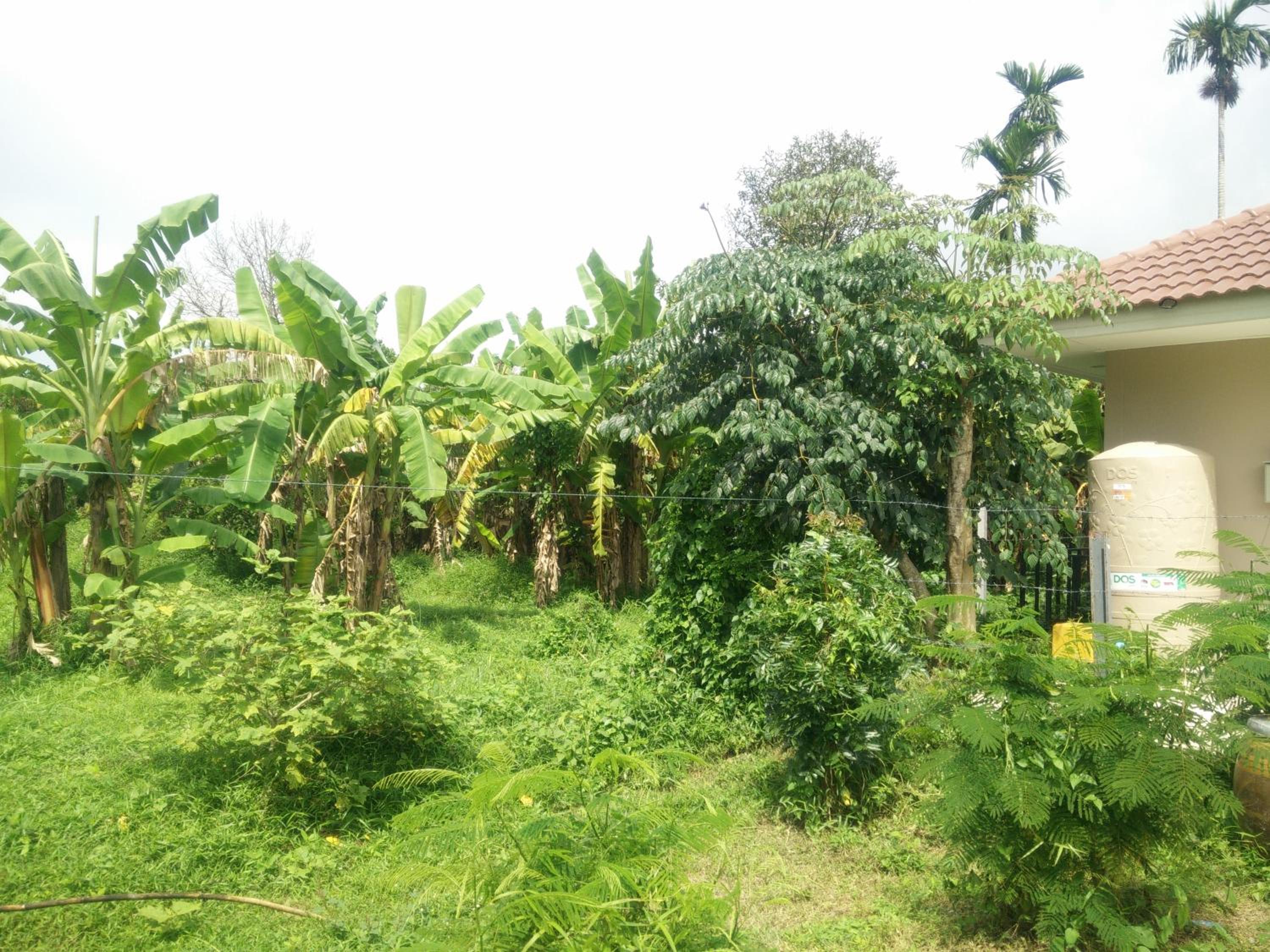 Deva Garden Resort