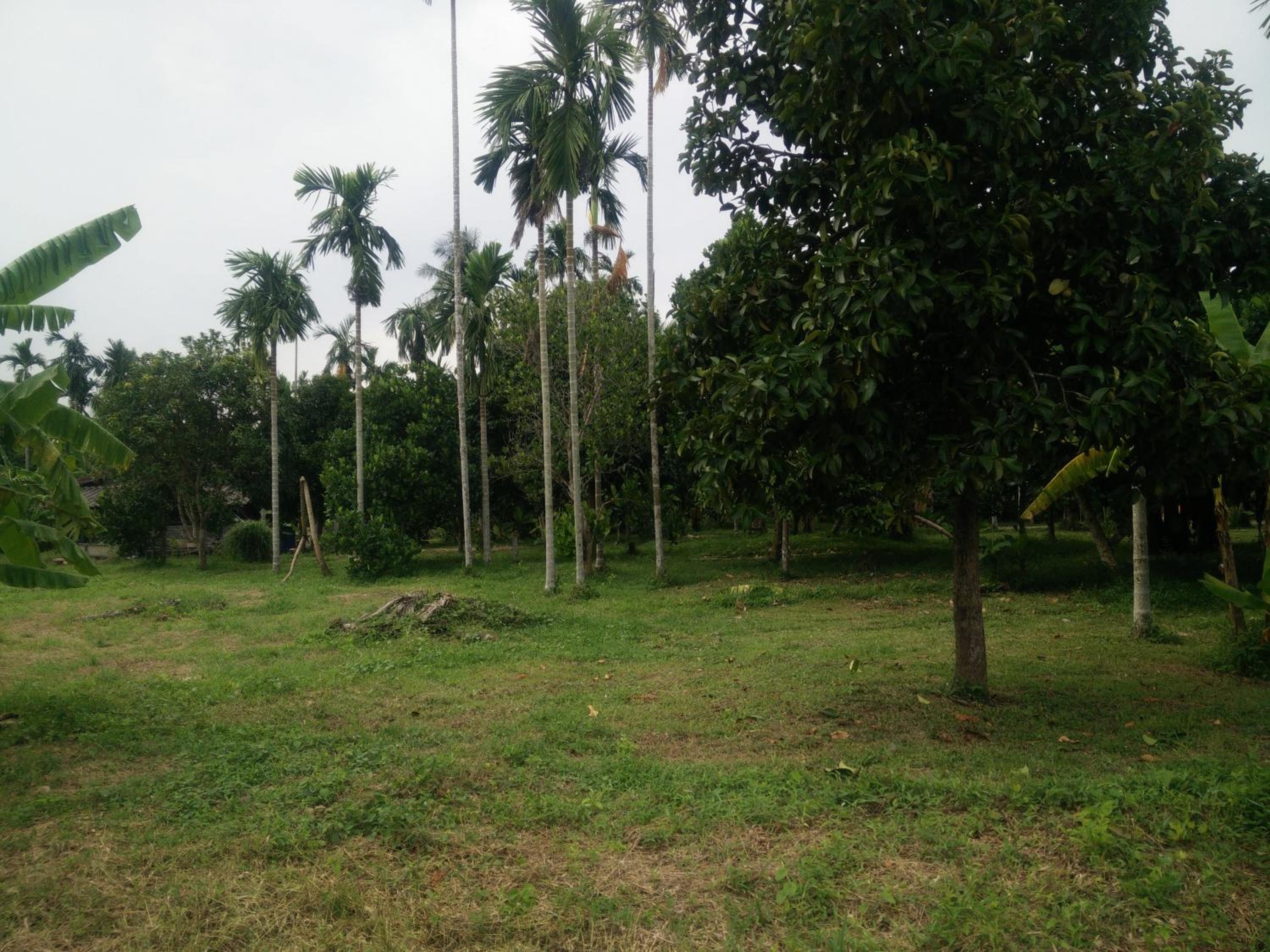 Deva Garden Resort