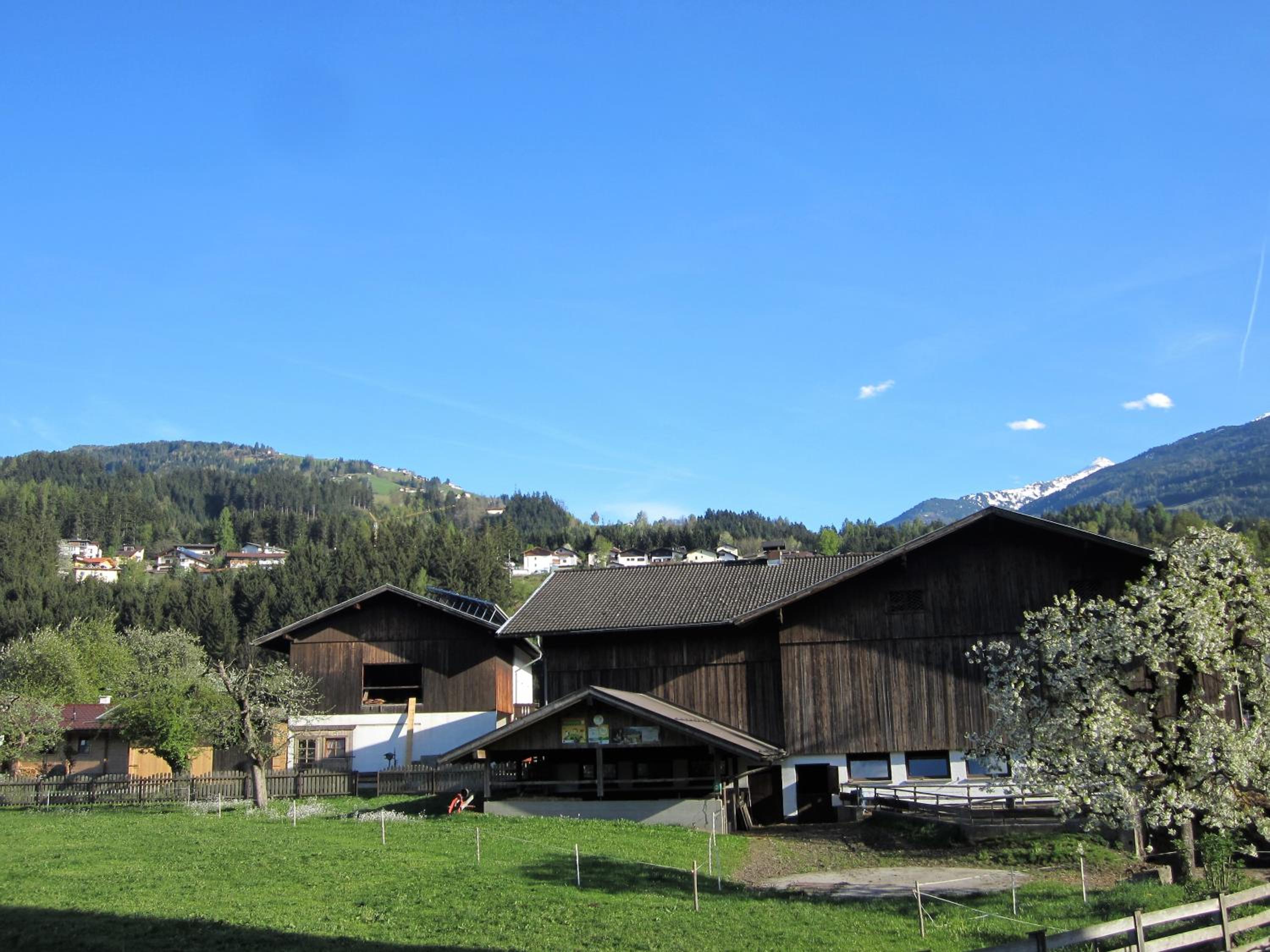 Ferienhaus Mandlhof