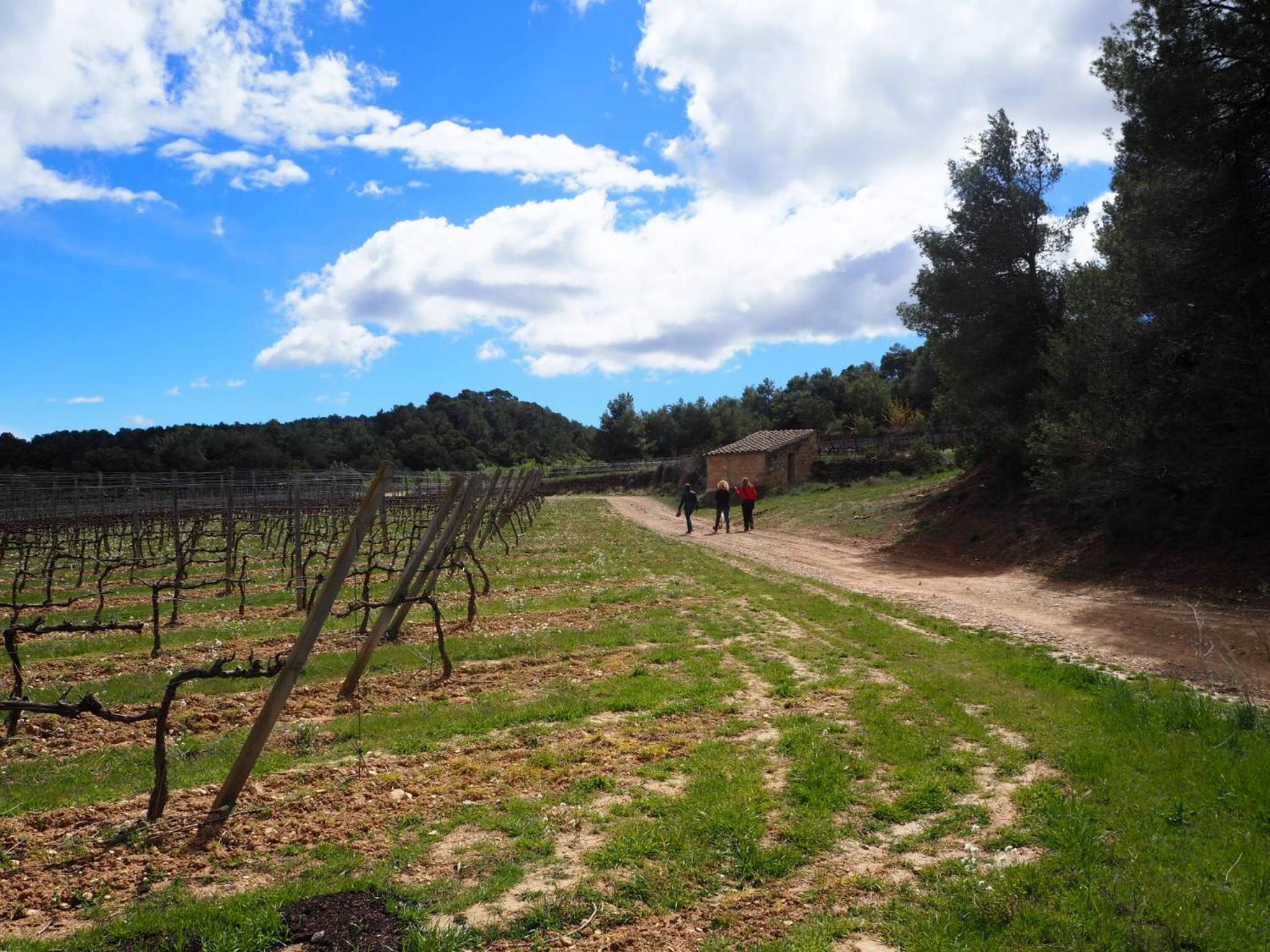 Vilosell Wine Hotel