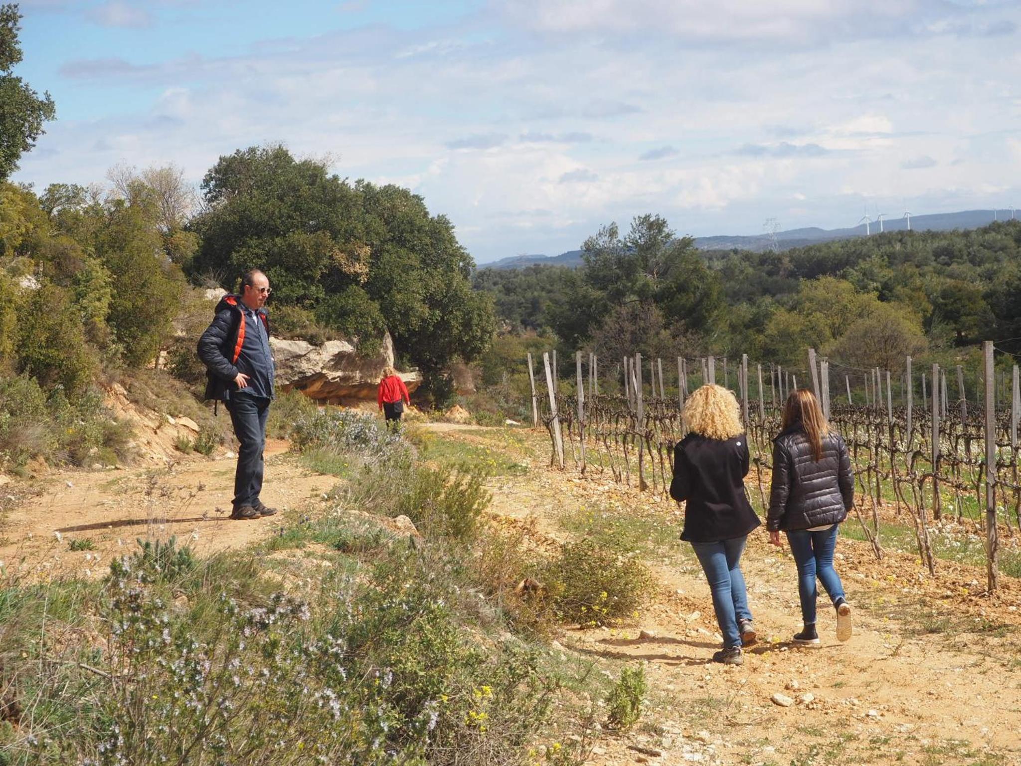 Vilosell Wine Hotel