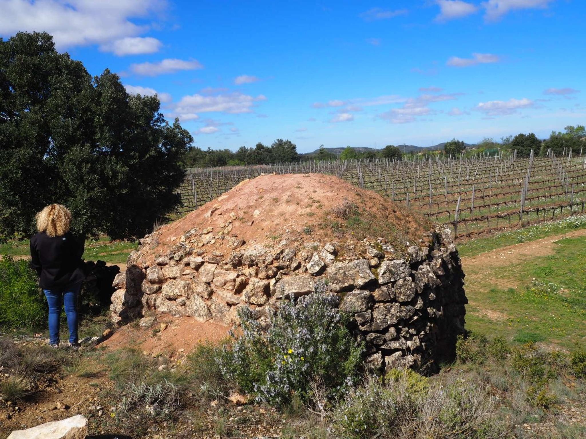 Vilosell Wine Hotel