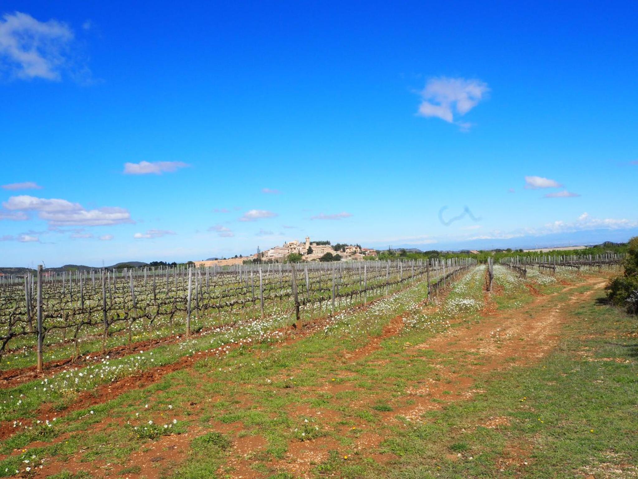 Vilosell Wine Hotel