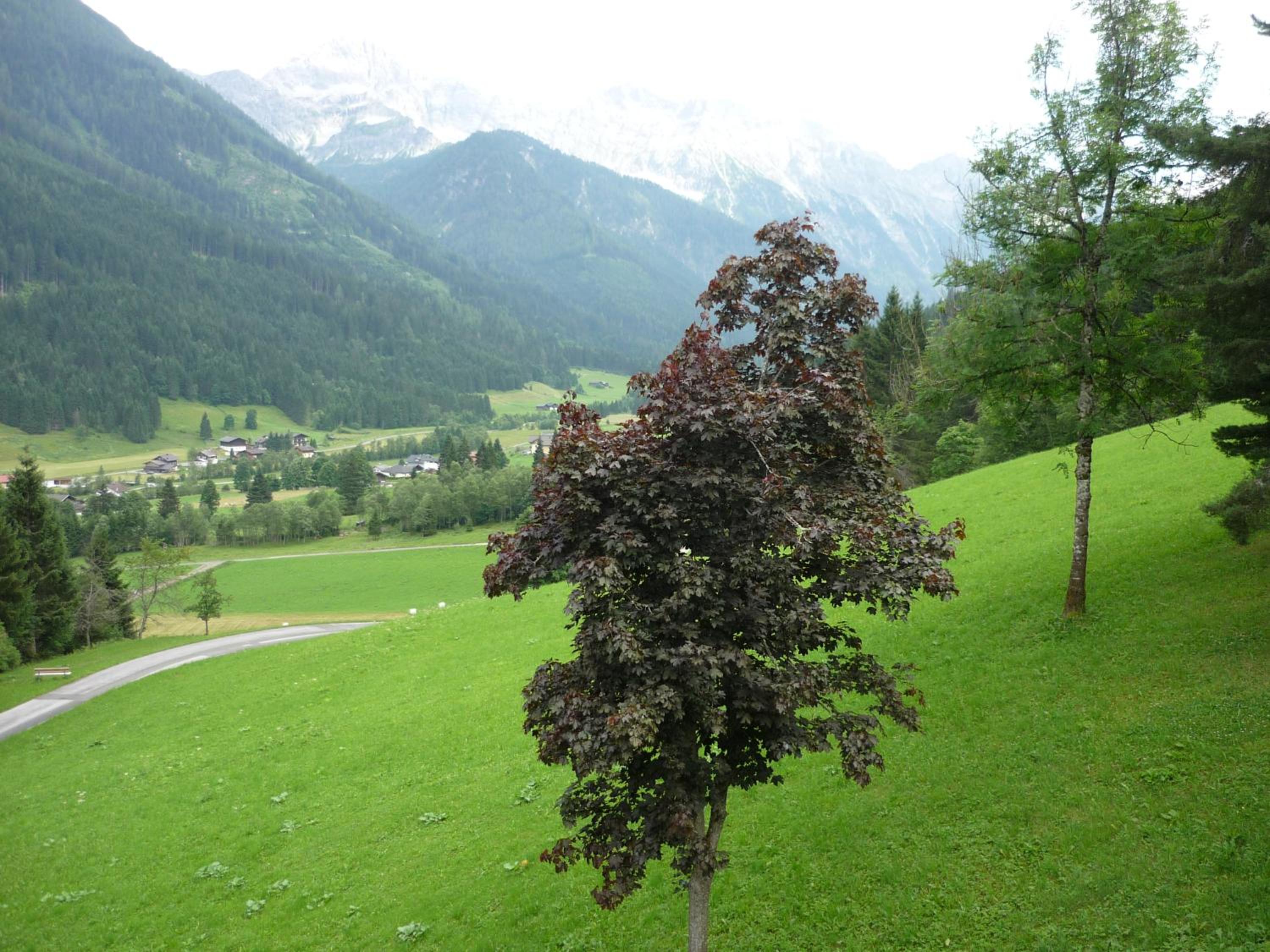 Oberrainbauer