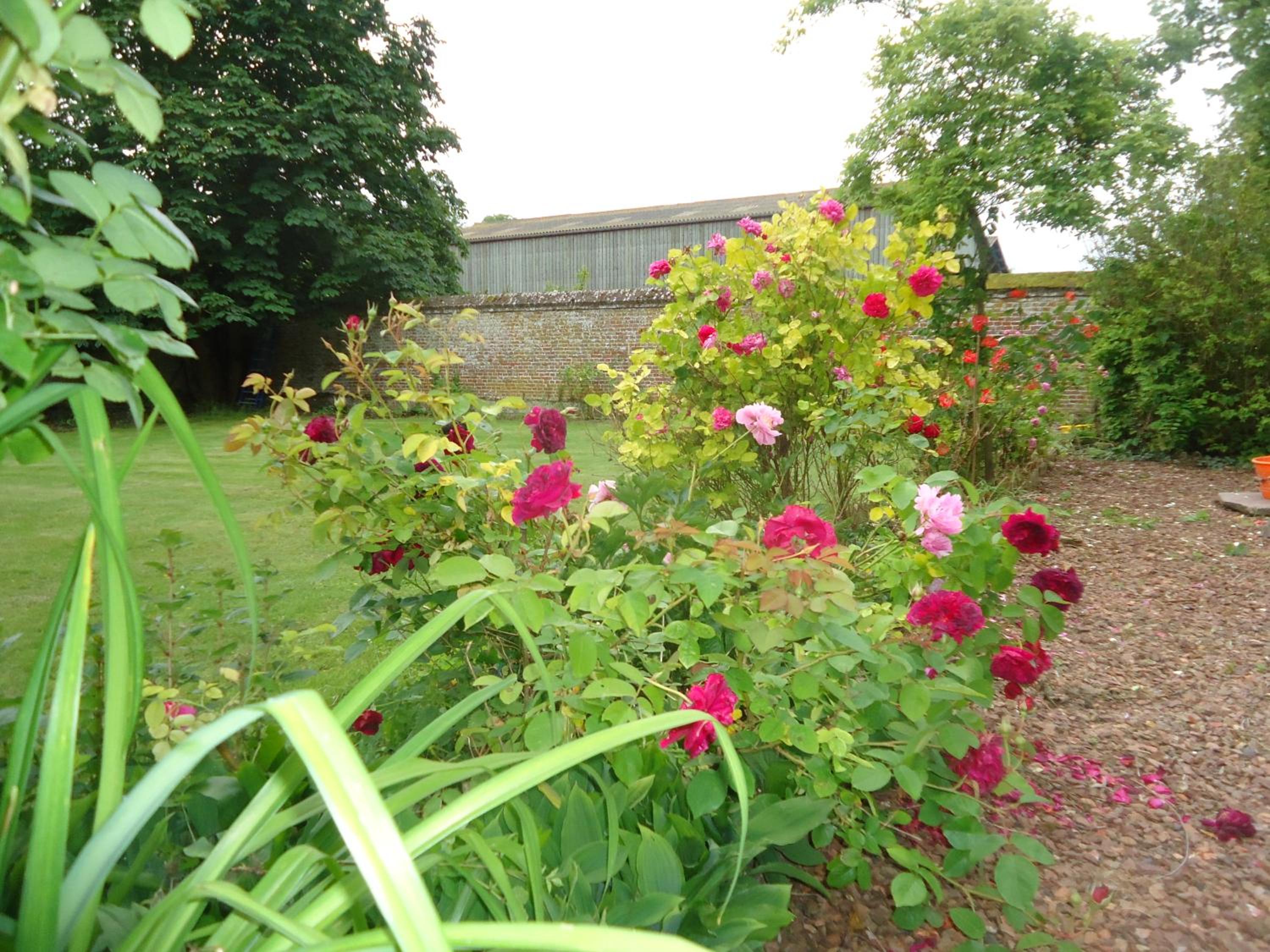 Photo 8
