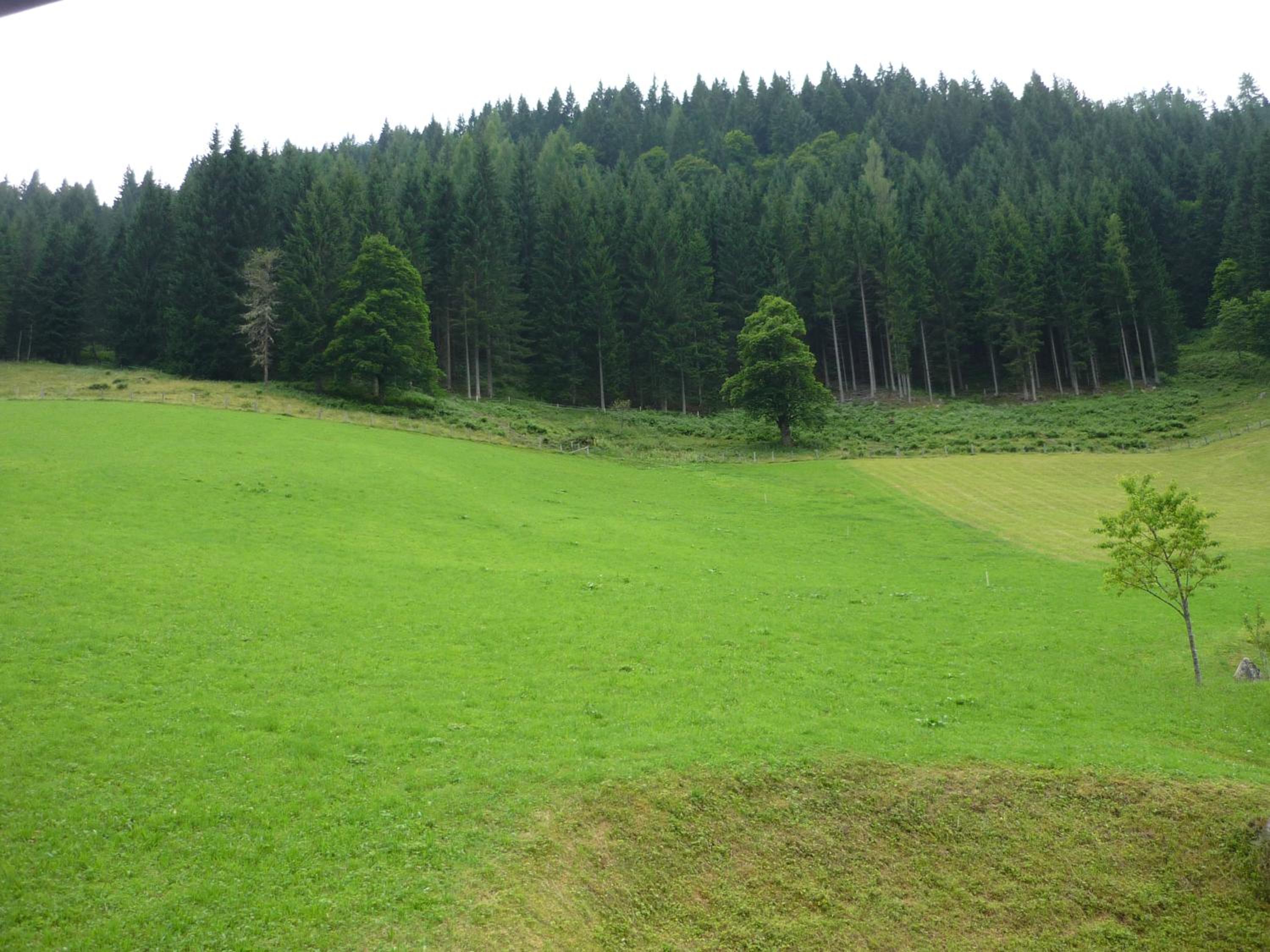 Oberrainbauer