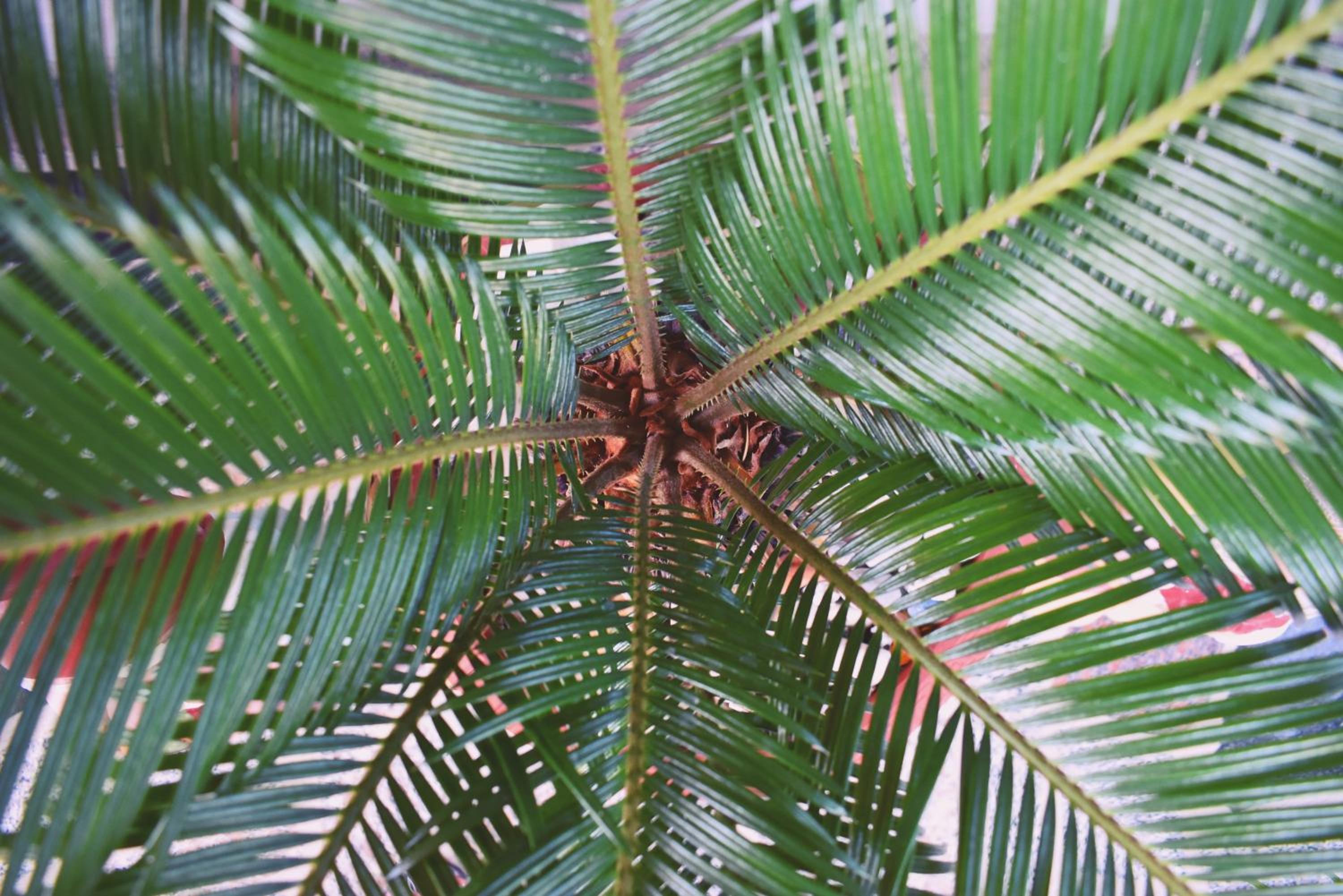 Photo 47