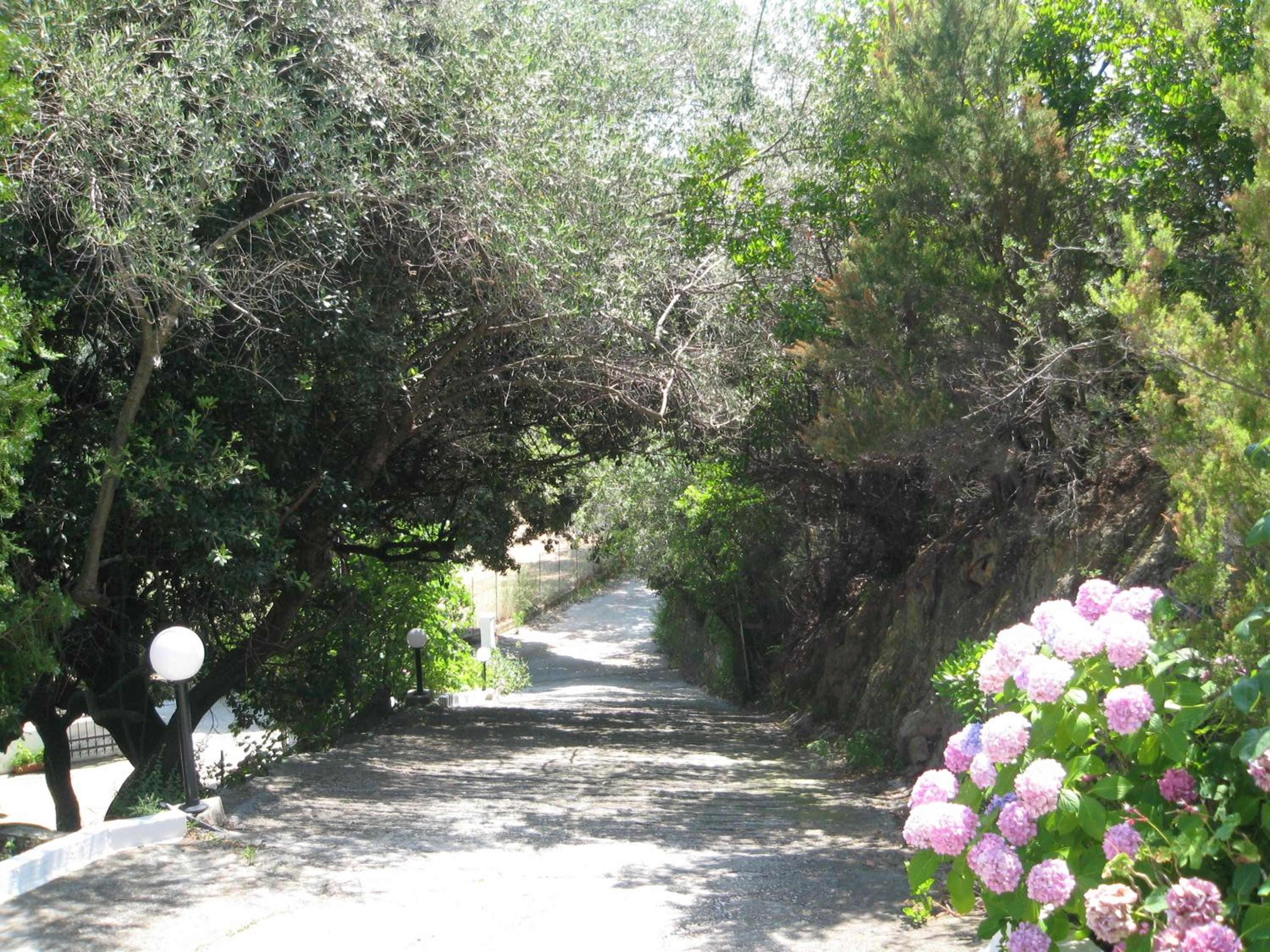 Photo 23