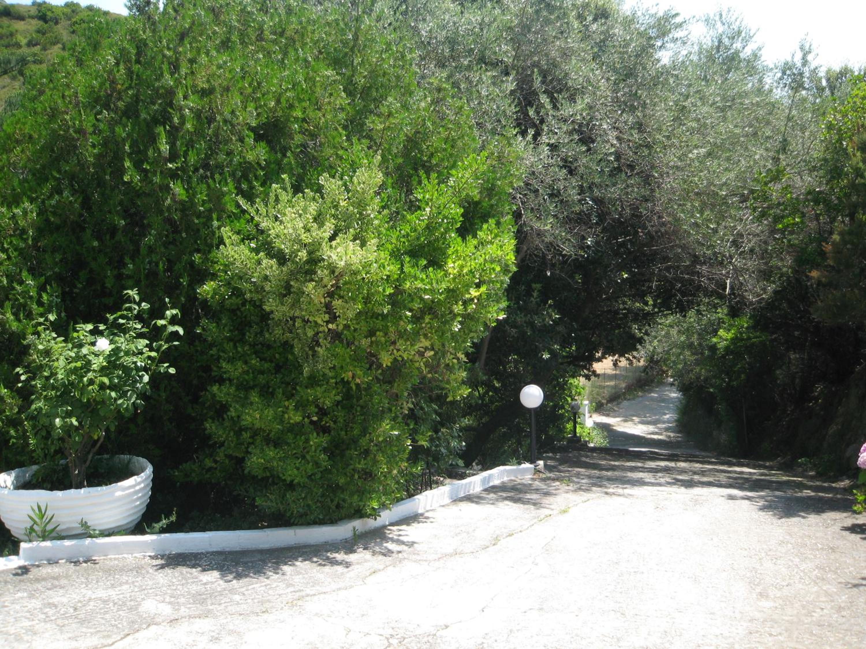 Photo 24