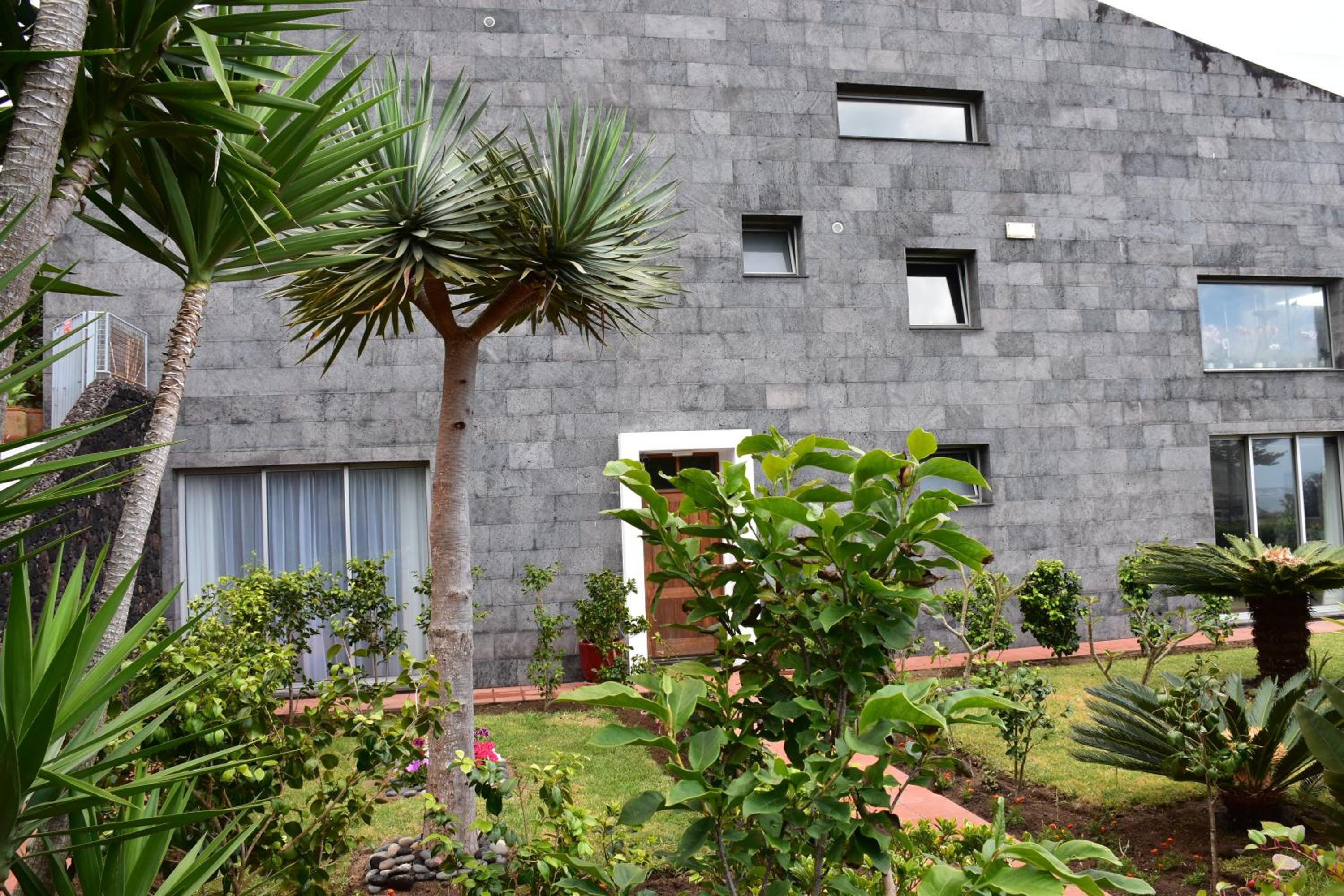 Caloura Camellia House view 3