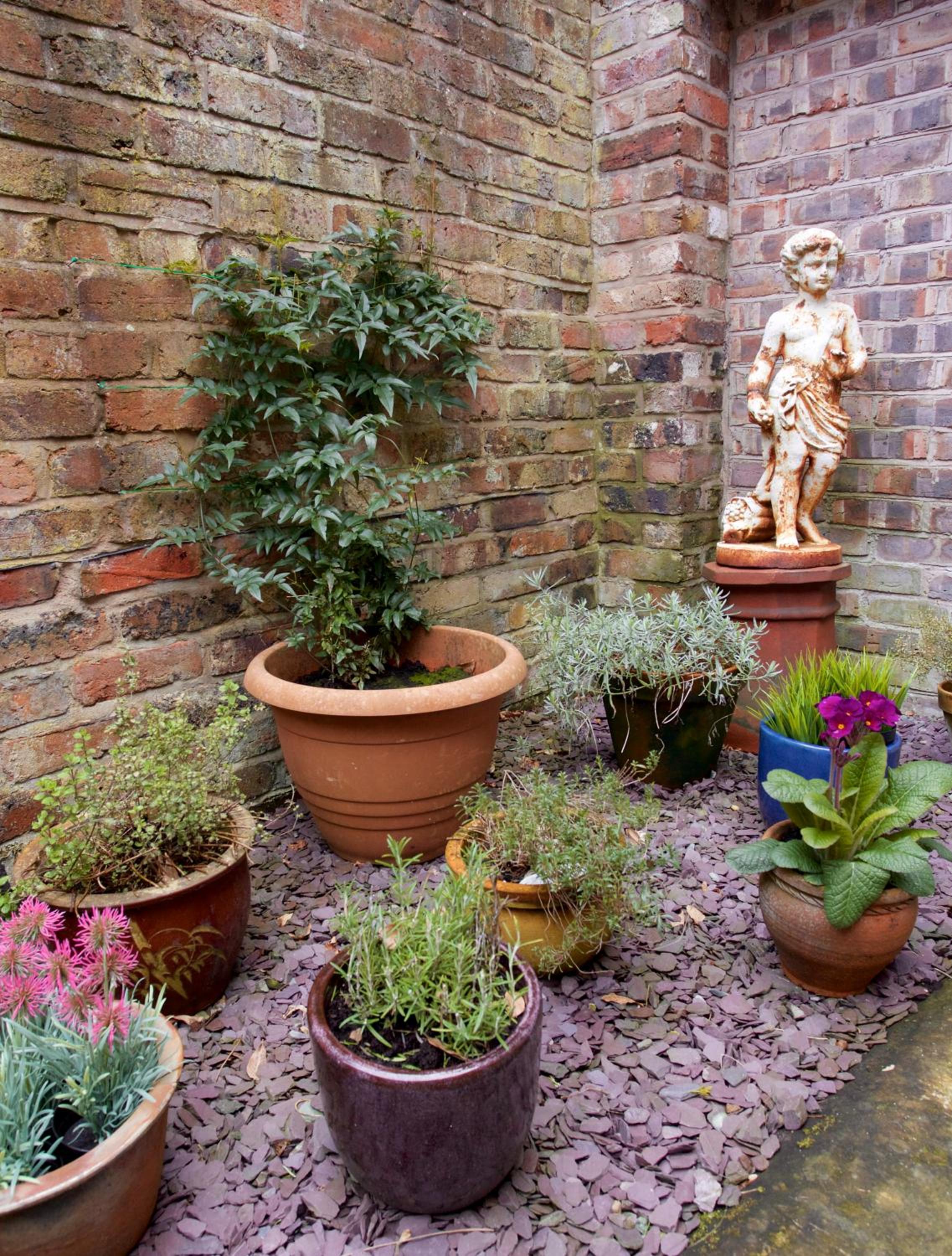 Photo 20