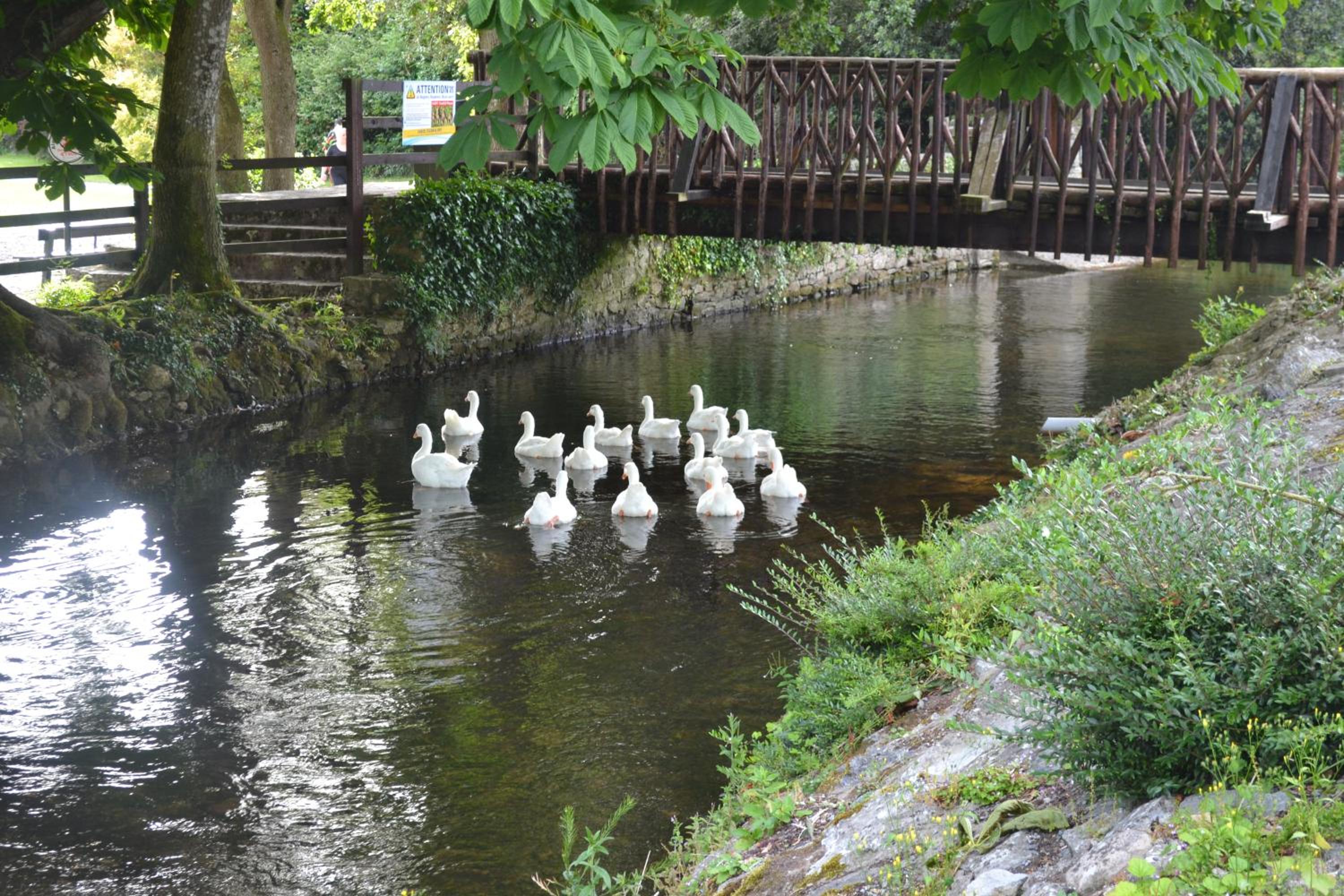 Photo 44