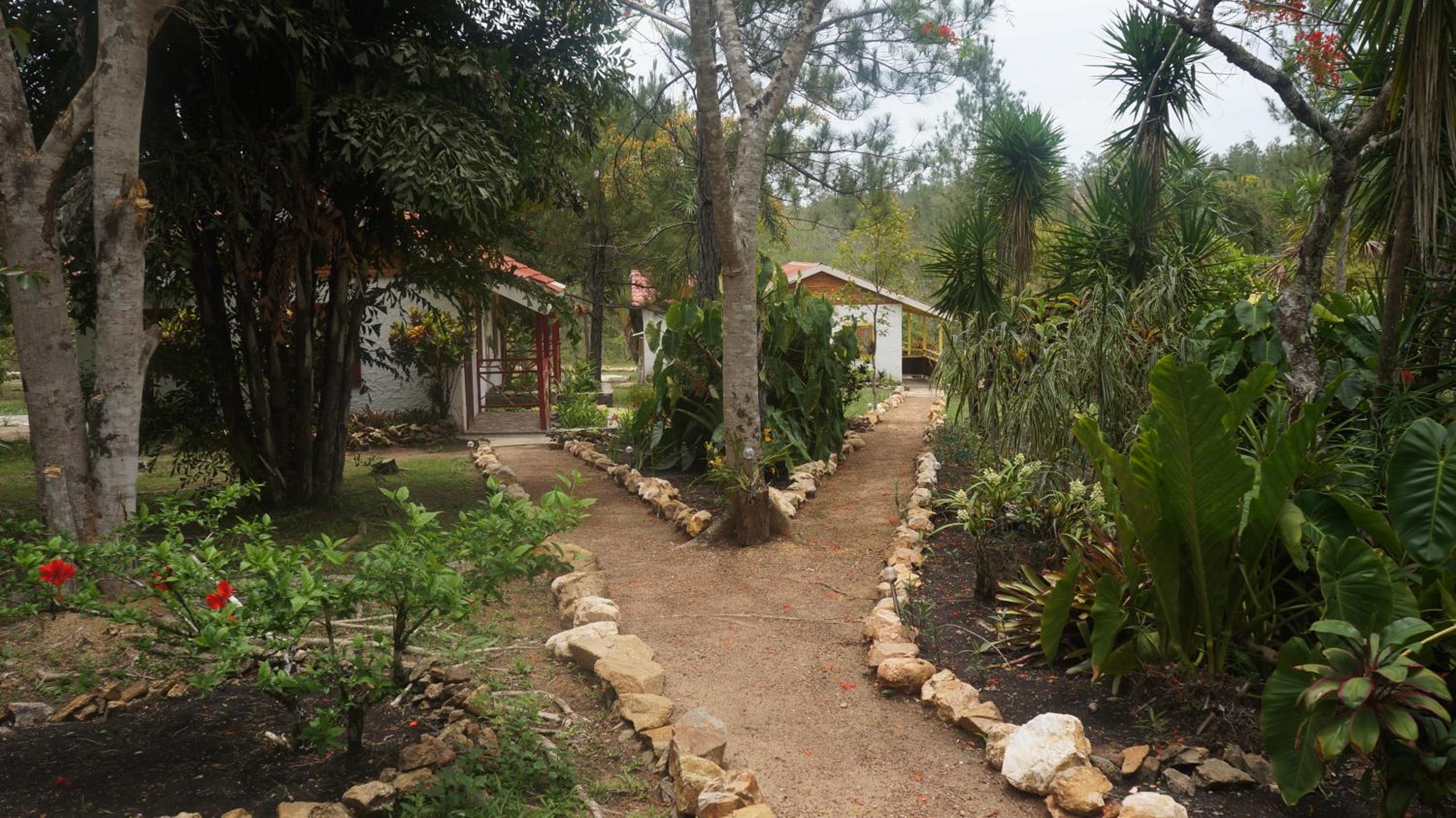 Belize Vacations - Pine Ridge Lodge - Property Image 28