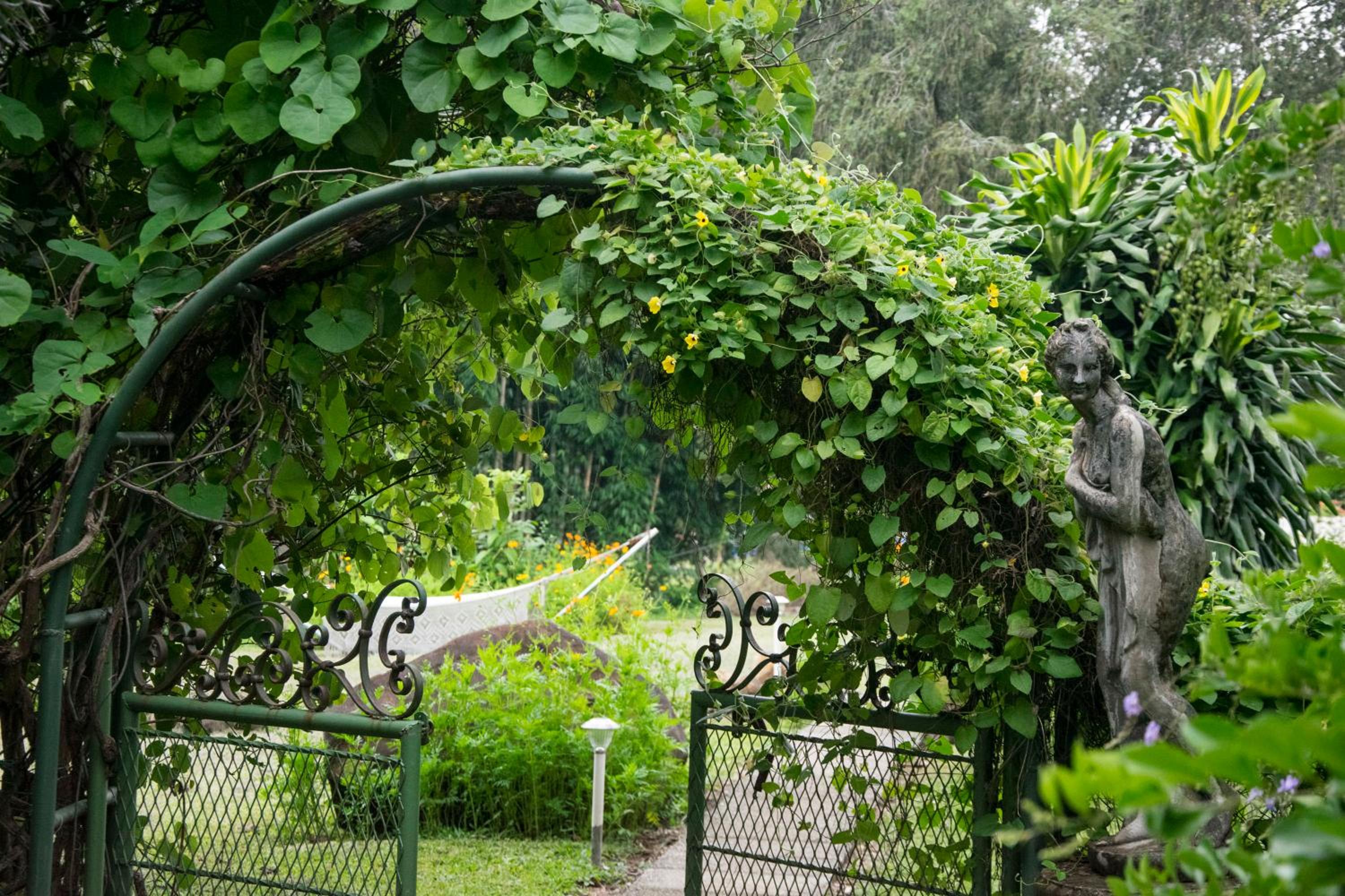 Villa Margarita