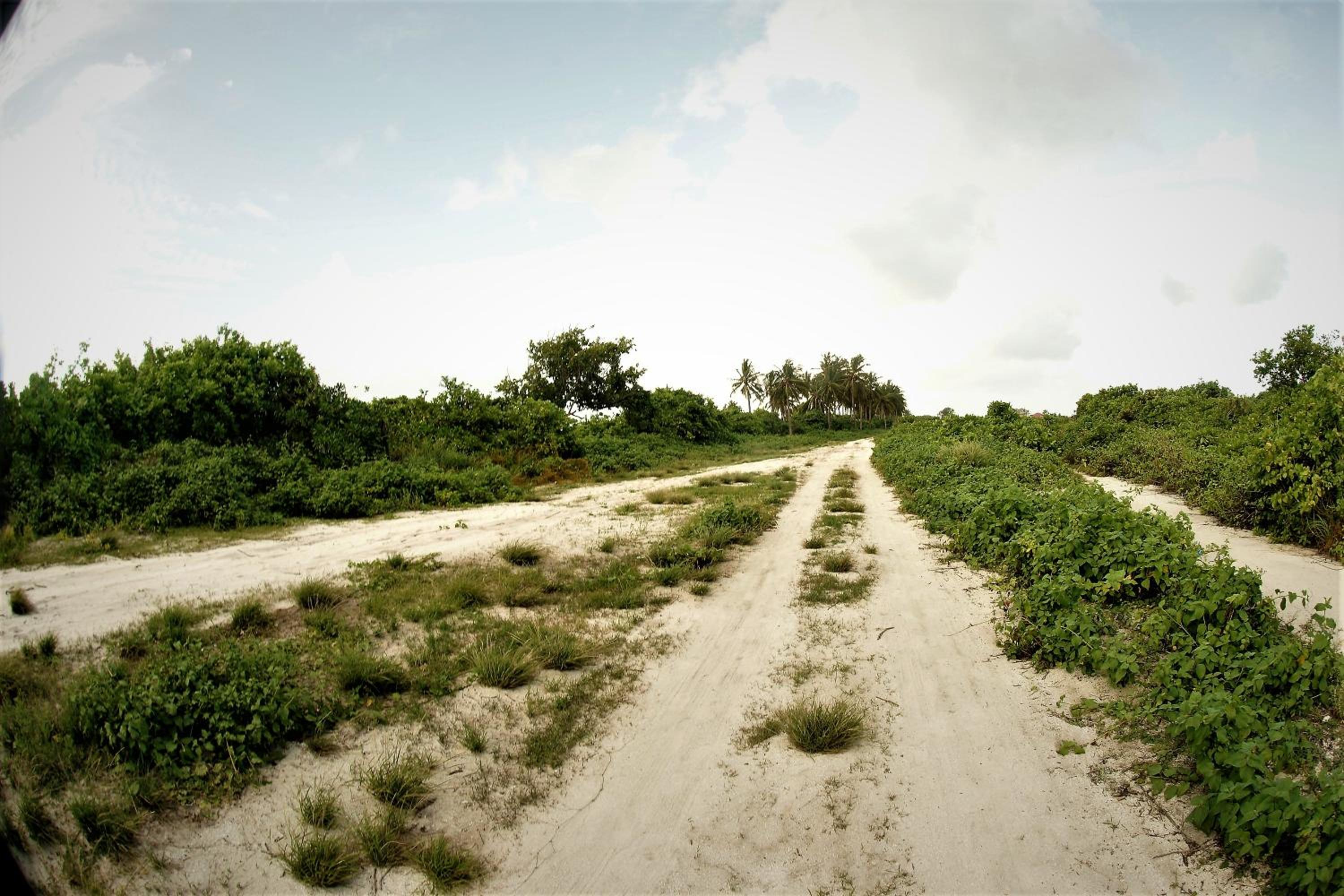 Photo 34